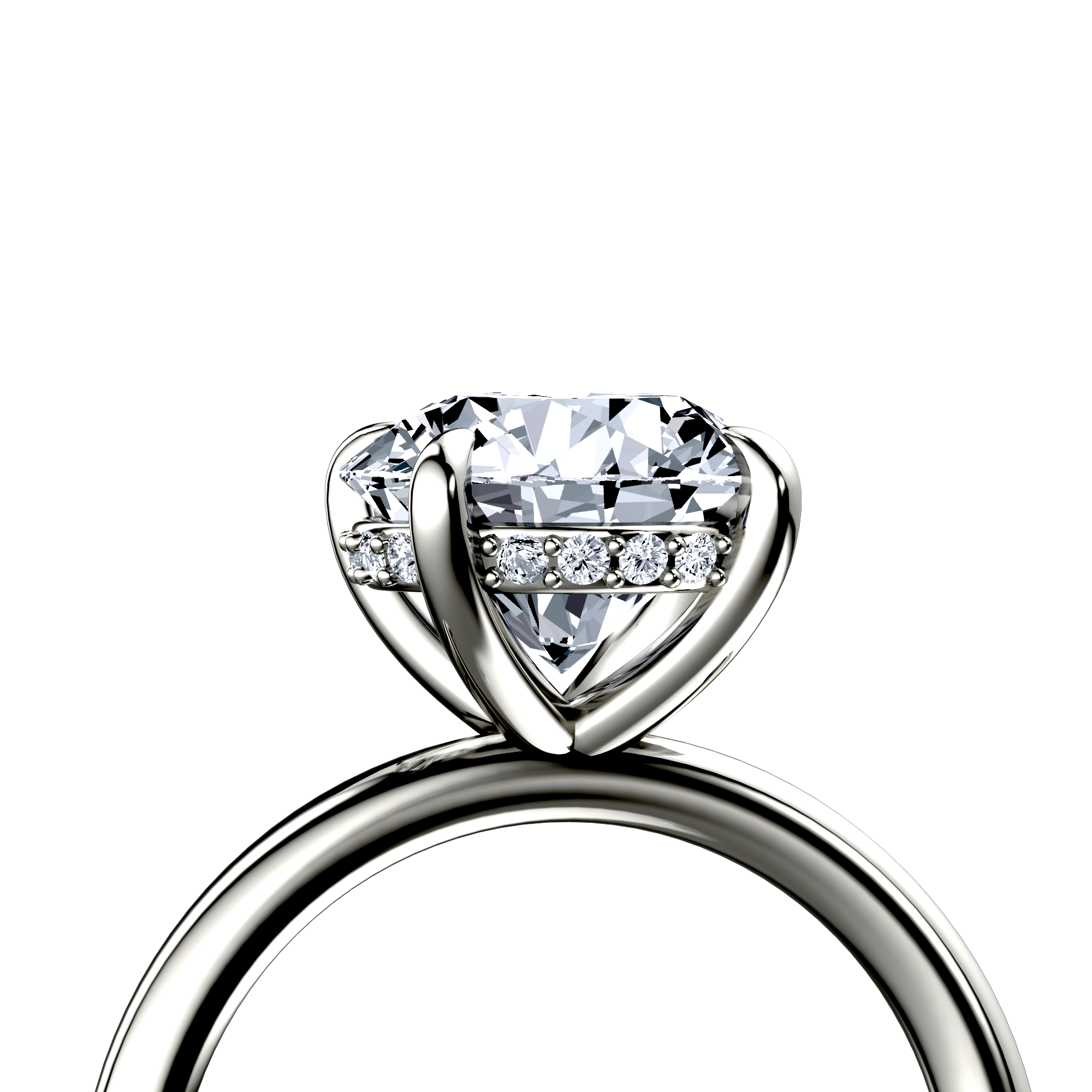 Image for The Alina
