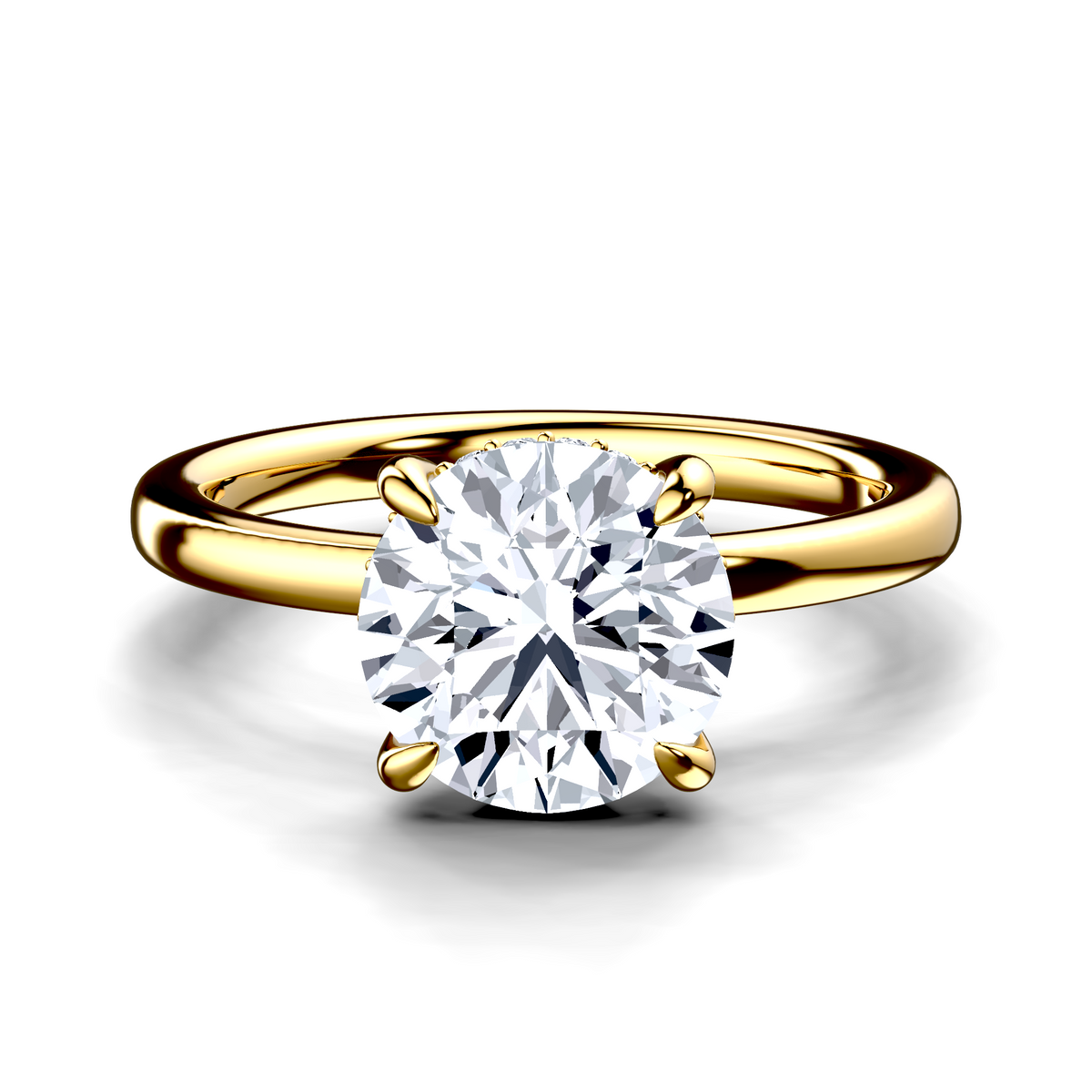 Image for The Alina