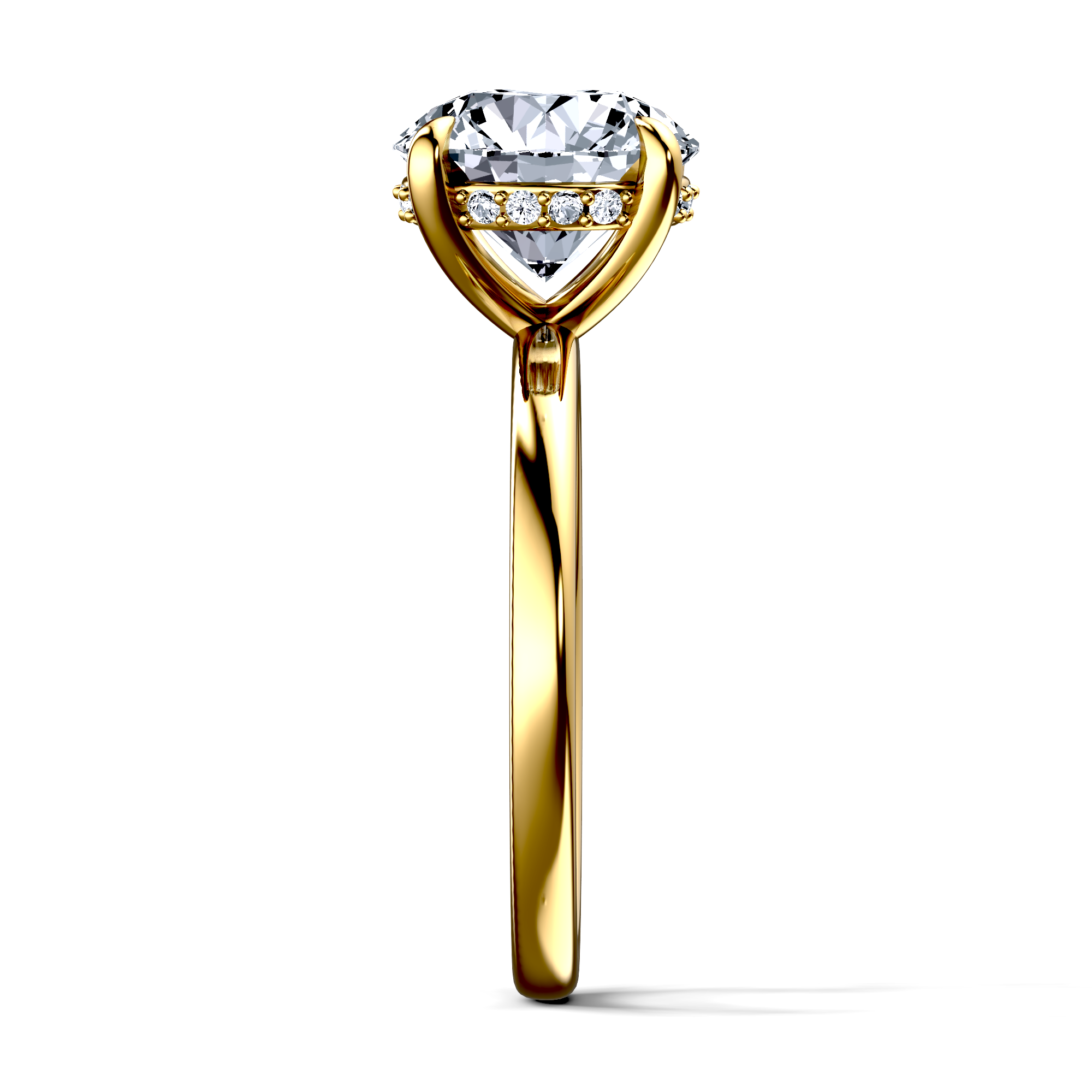 Image for The Alina