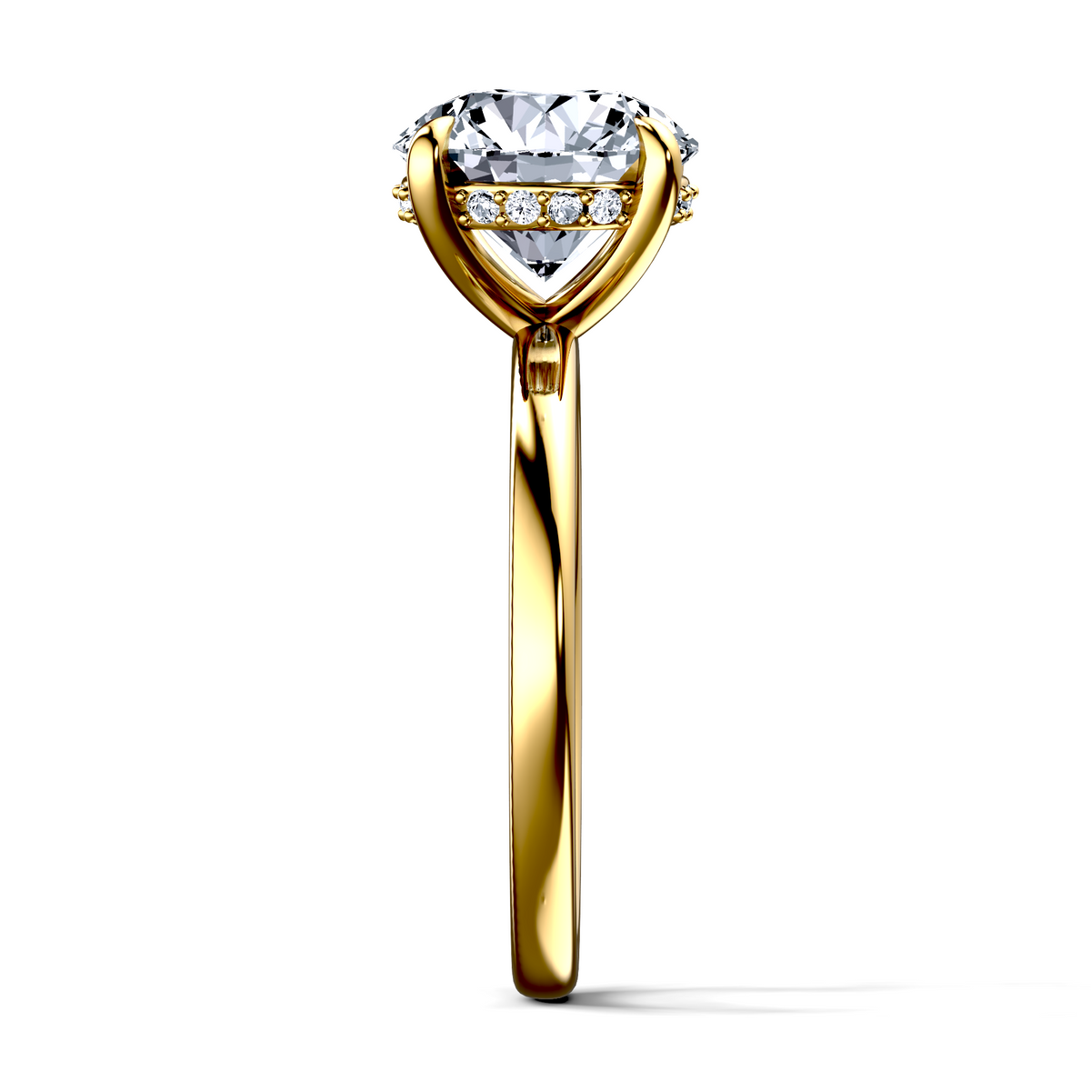 Image for The Alina