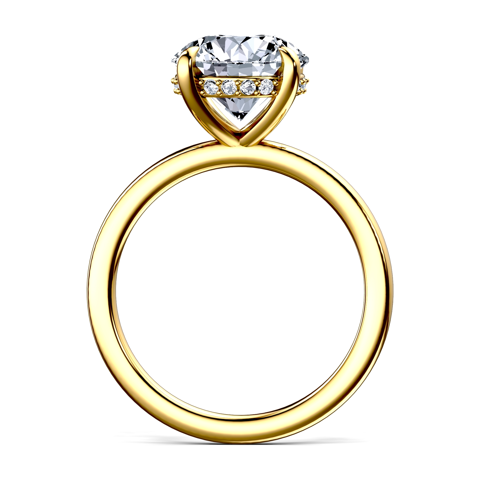 Image for The Alina