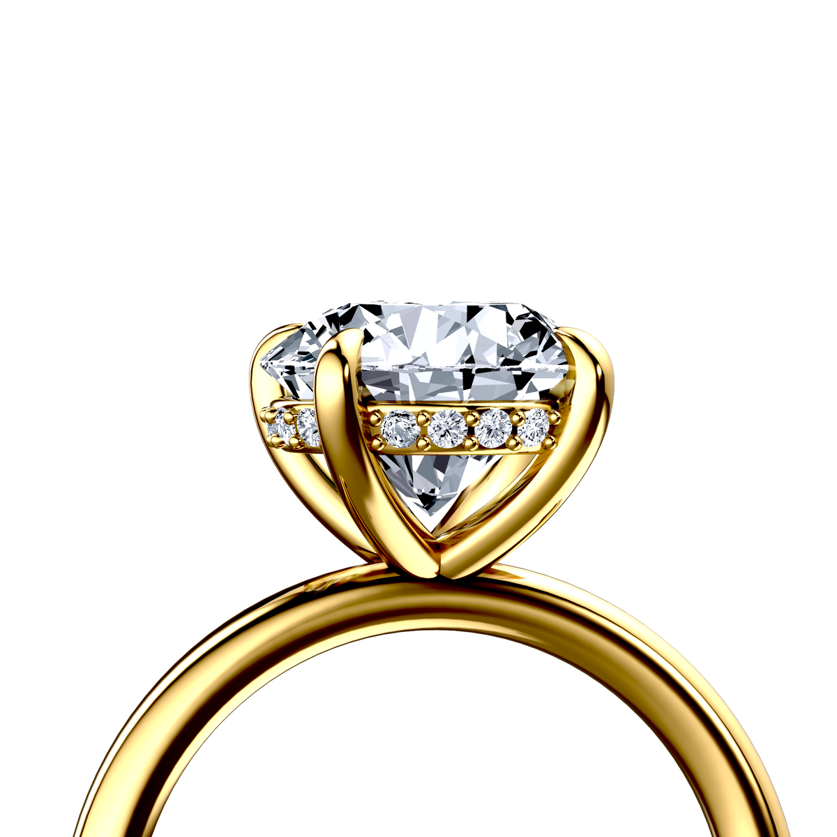 Image for The Alina
