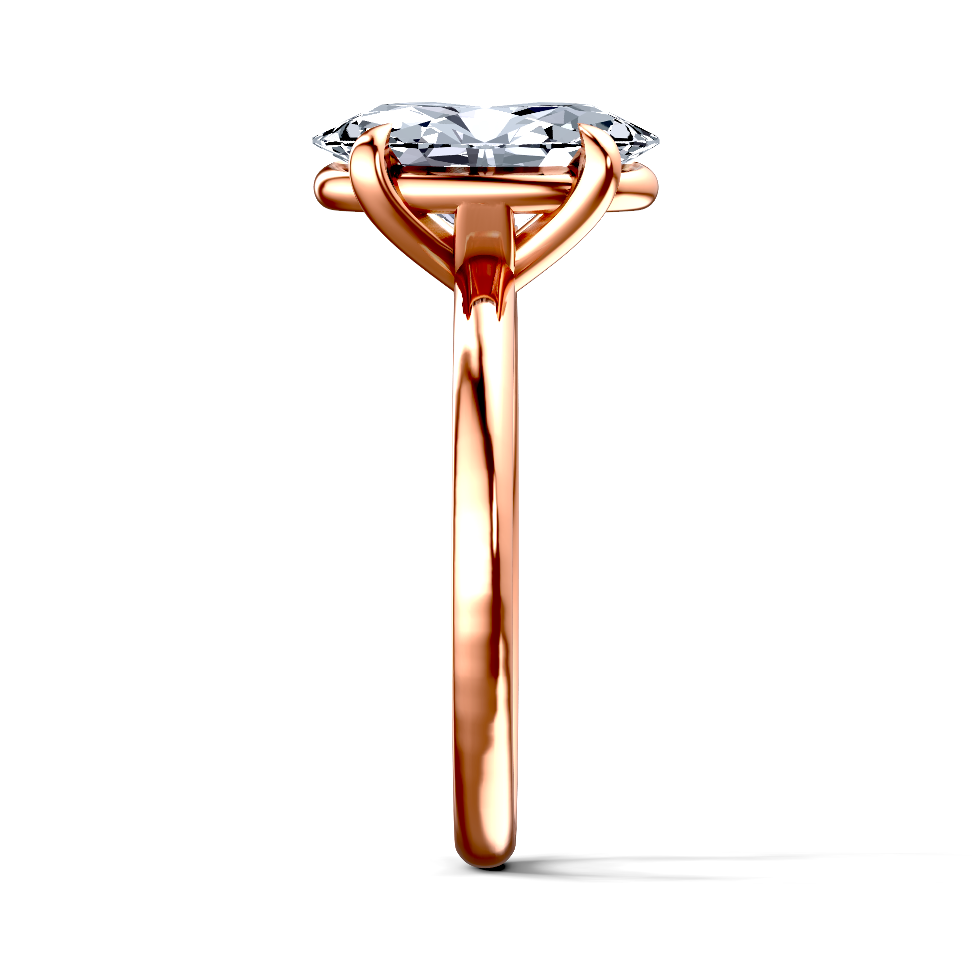 Image for The Thalia