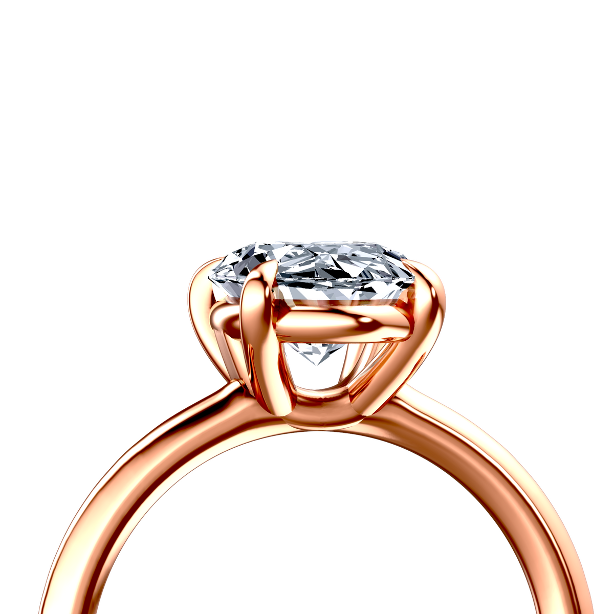 Image for The Thalia