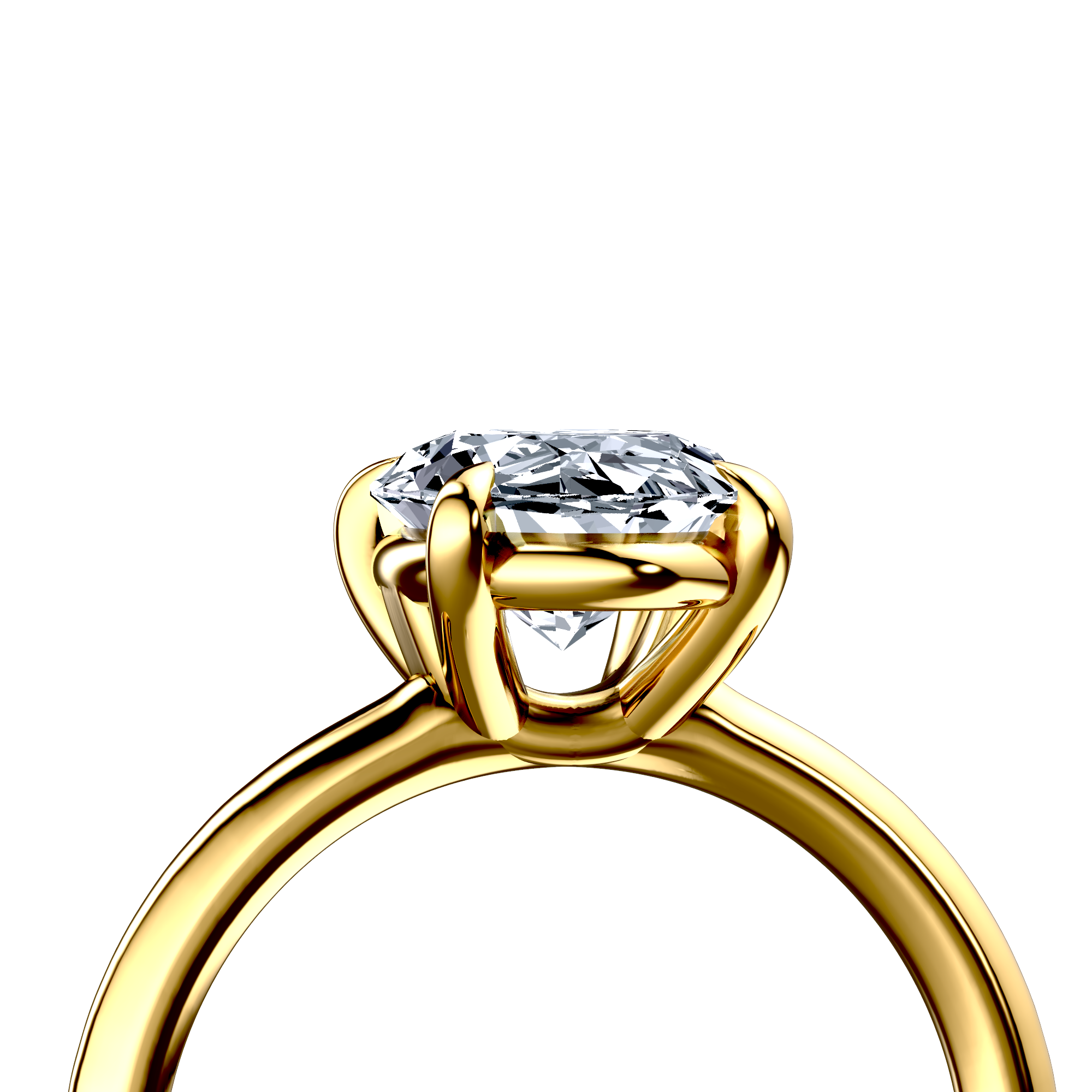 Image for The Thalia