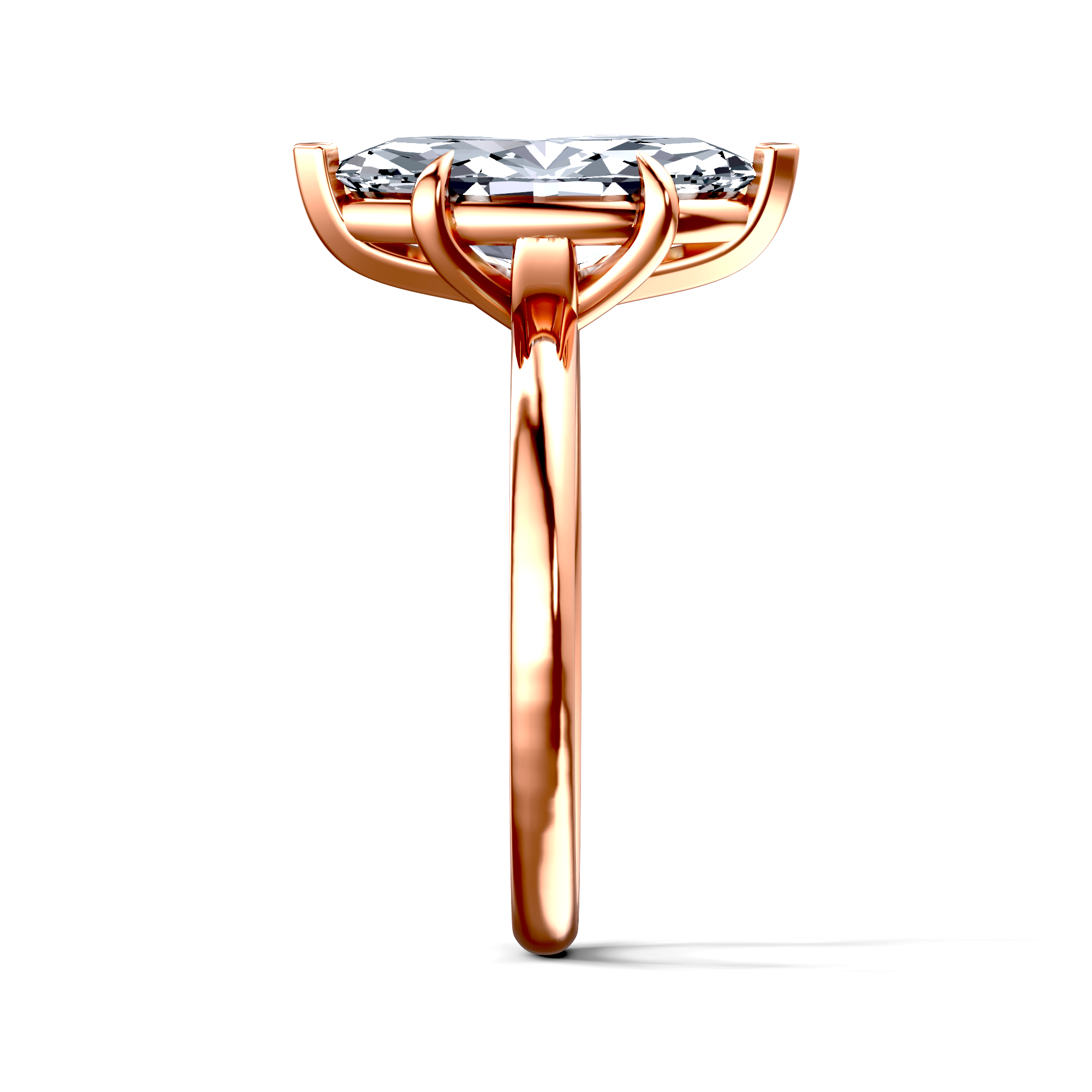 Image for The Thalia