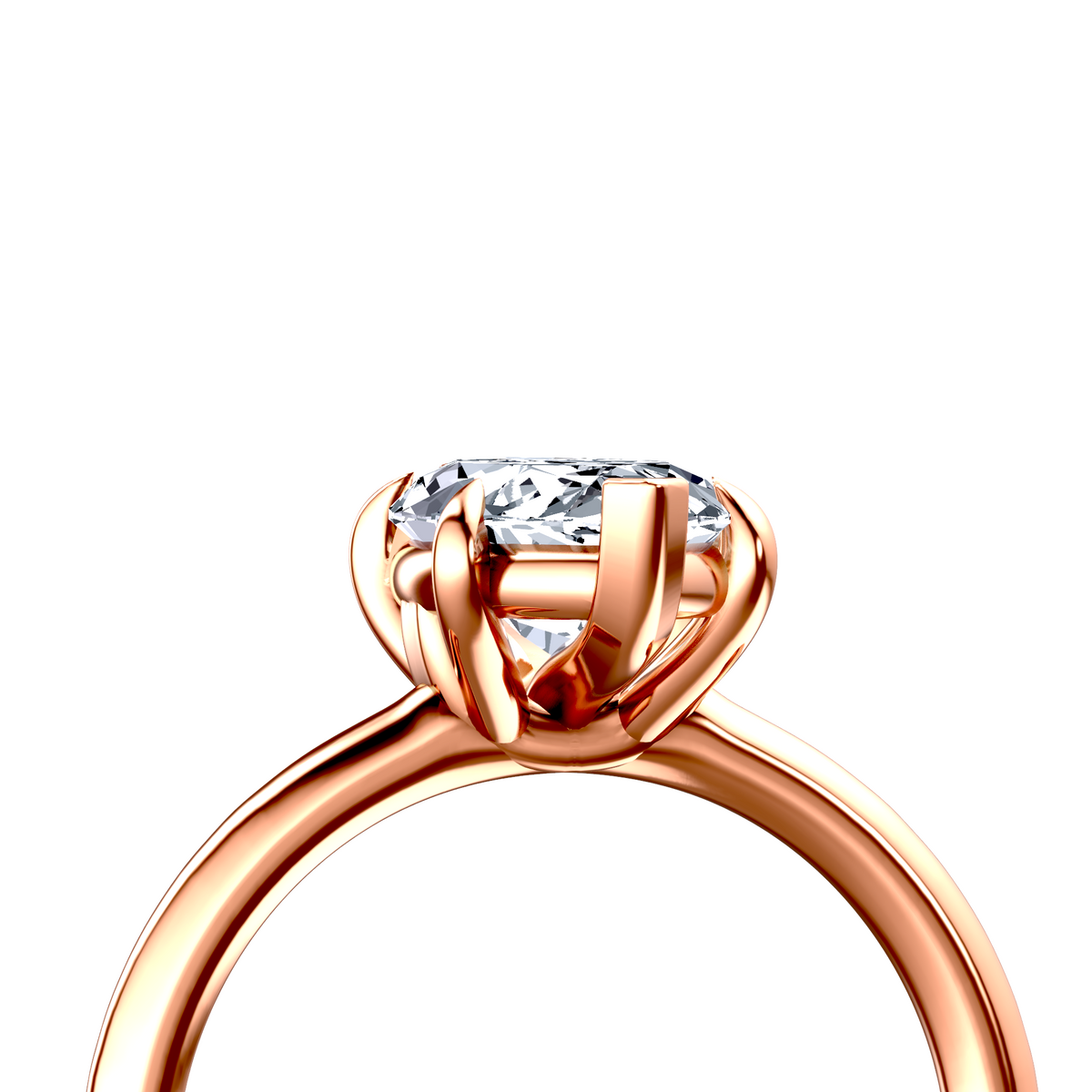 Image for The Thalia