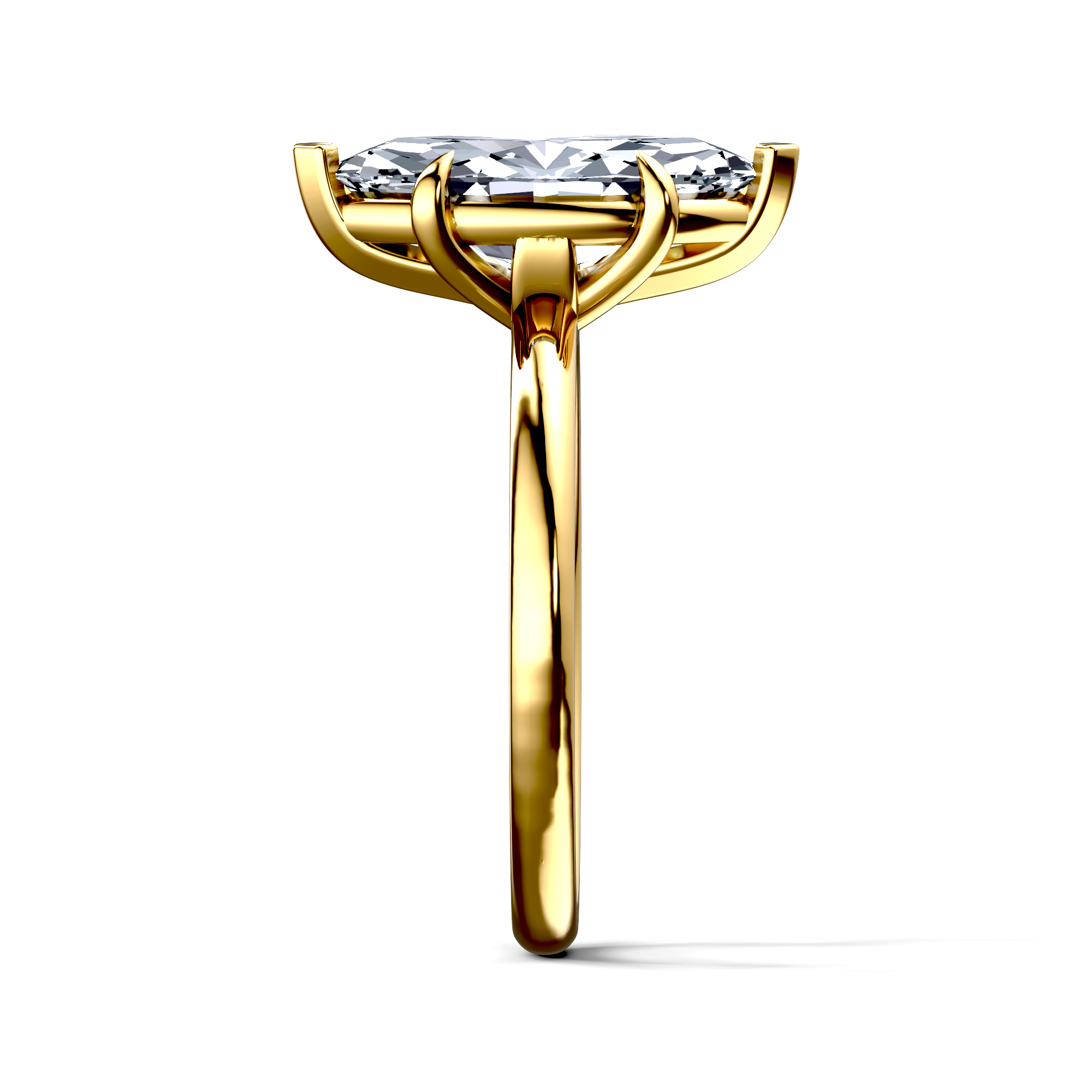 Image for The Thalia