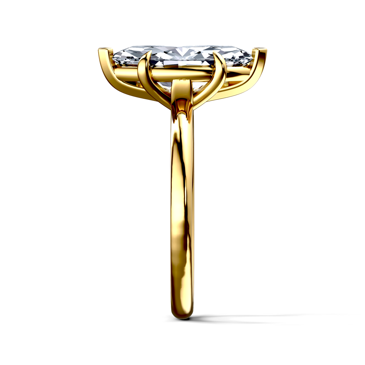 Image for The Thalia