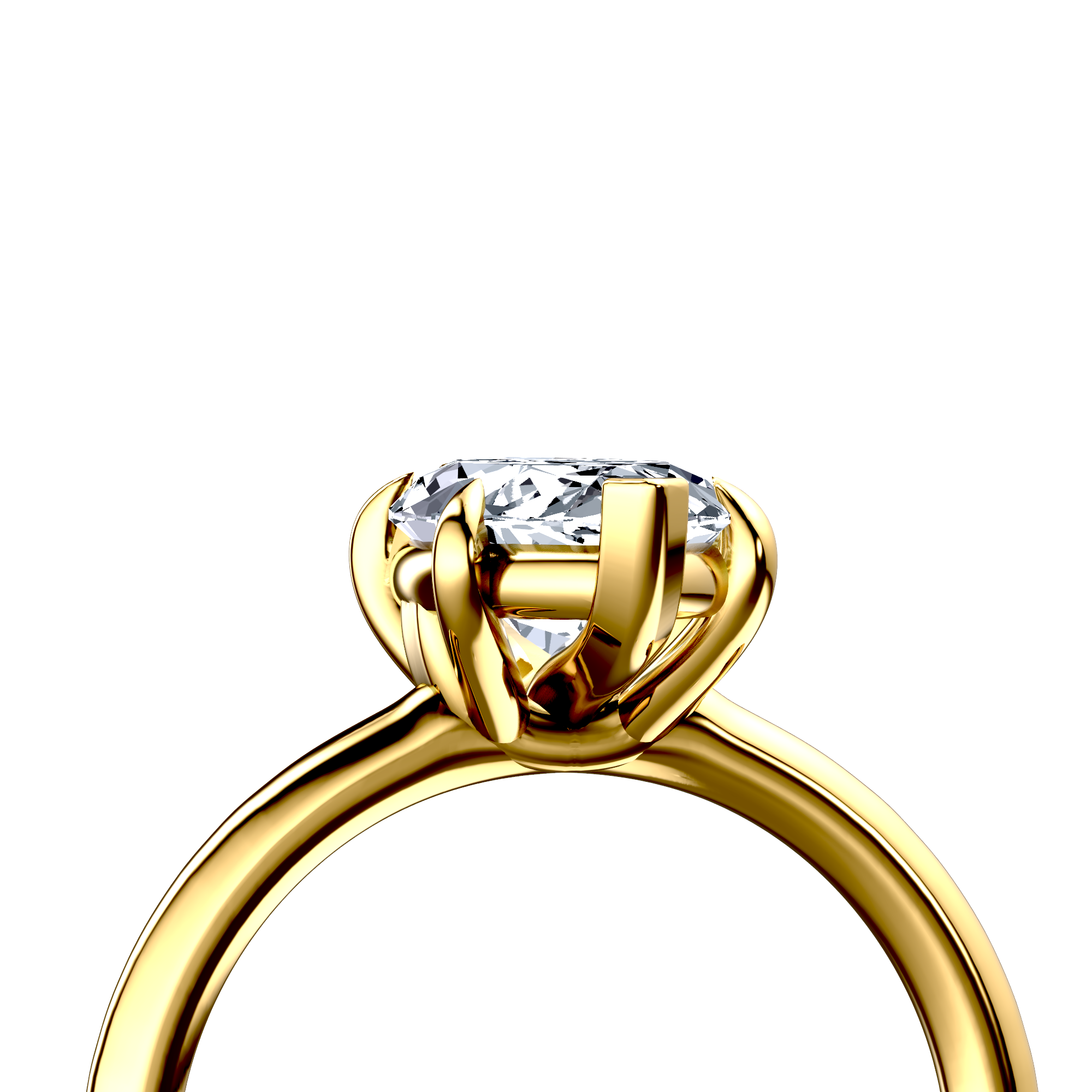 Image for The Thalia