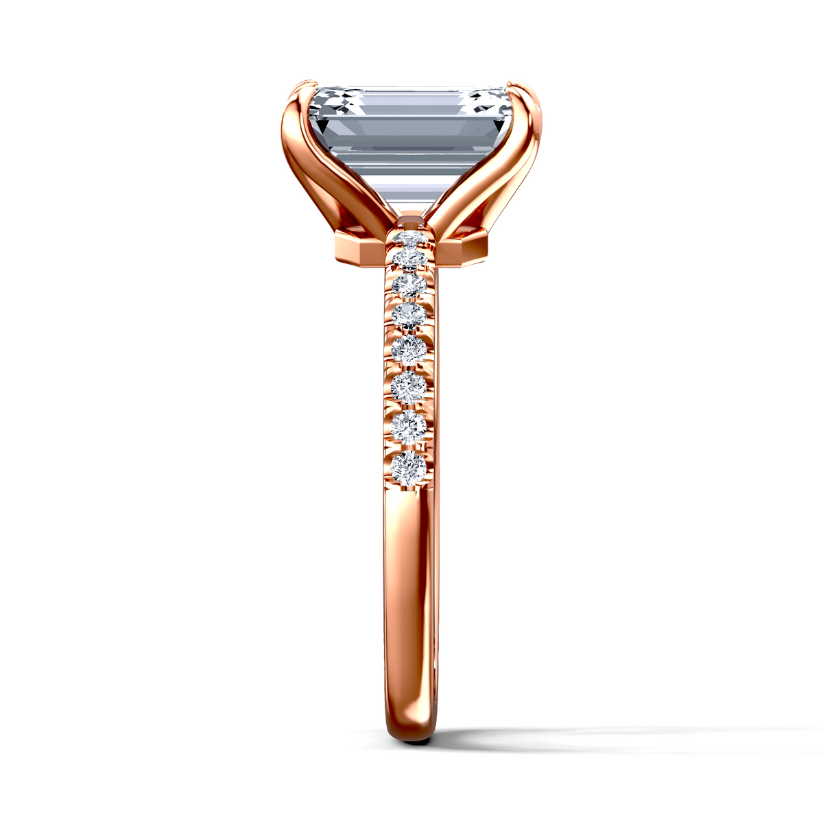 Image for The Serena