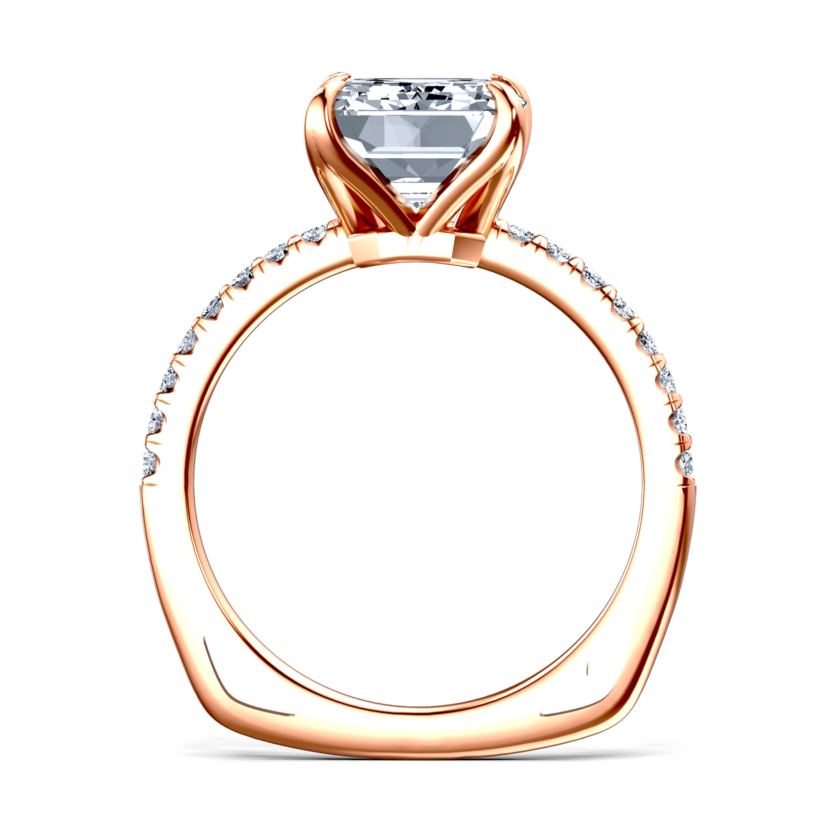 Image for The Serena