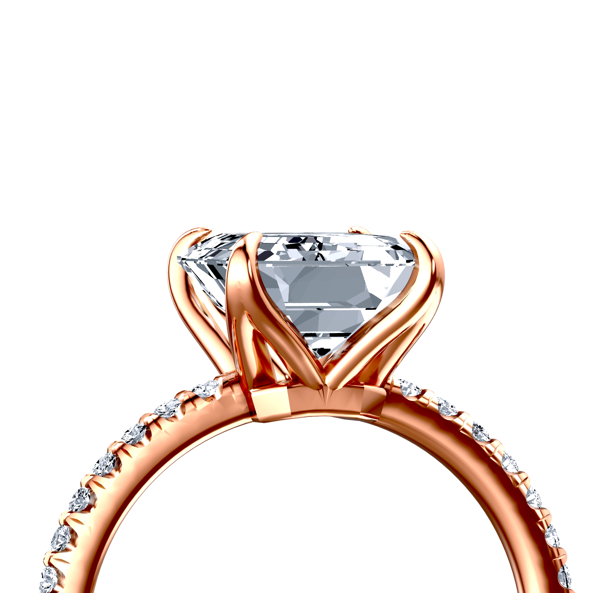 Image for The Serena