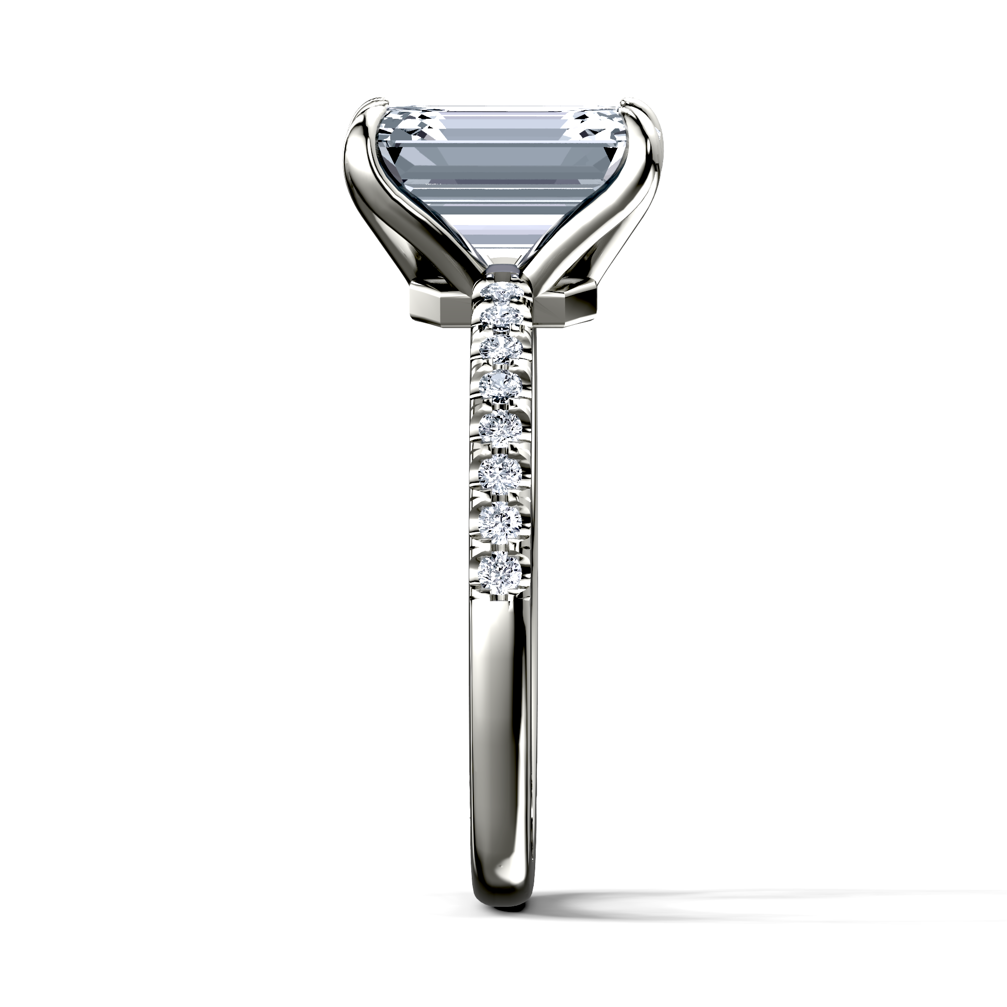 Image for The Serena