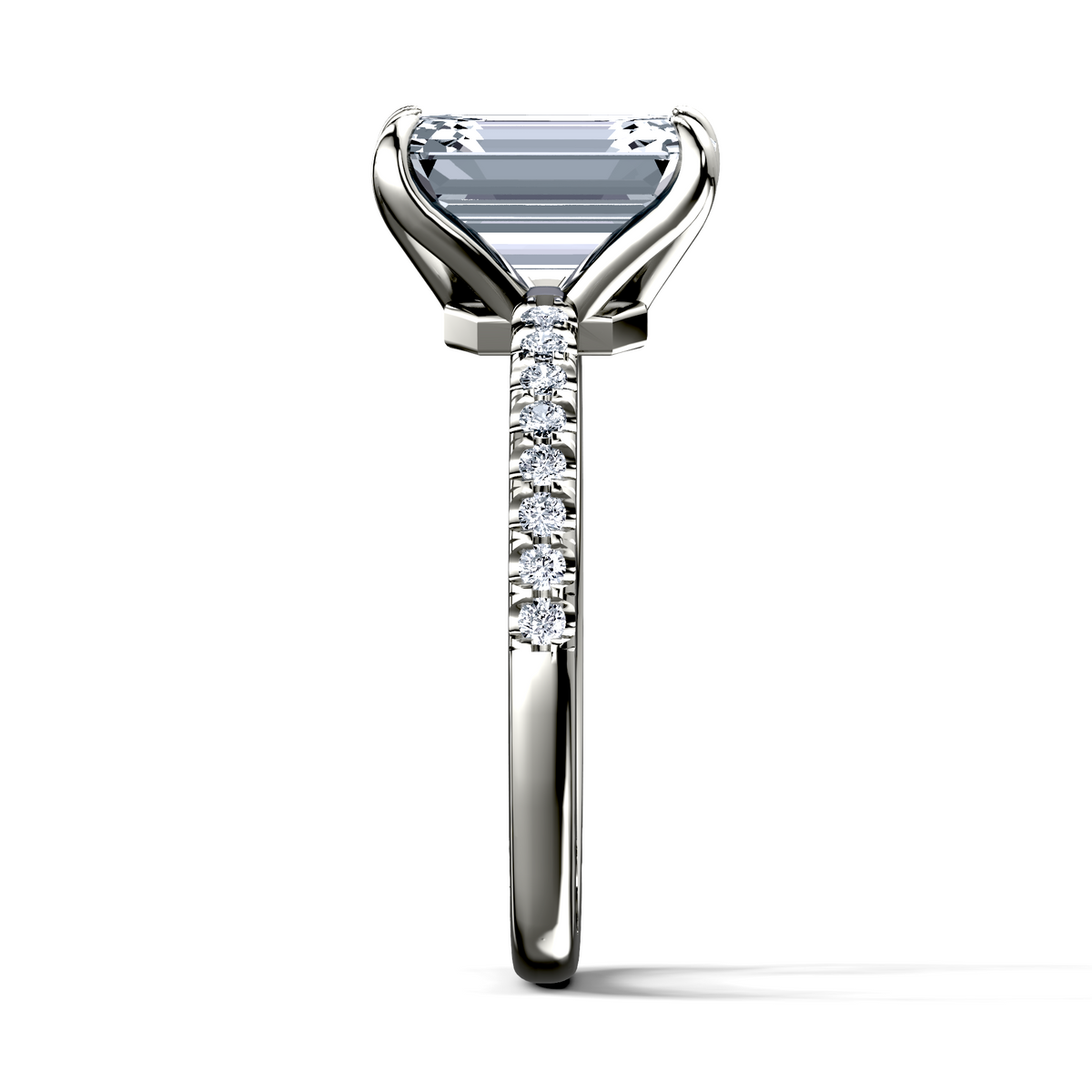 Image for The Serena