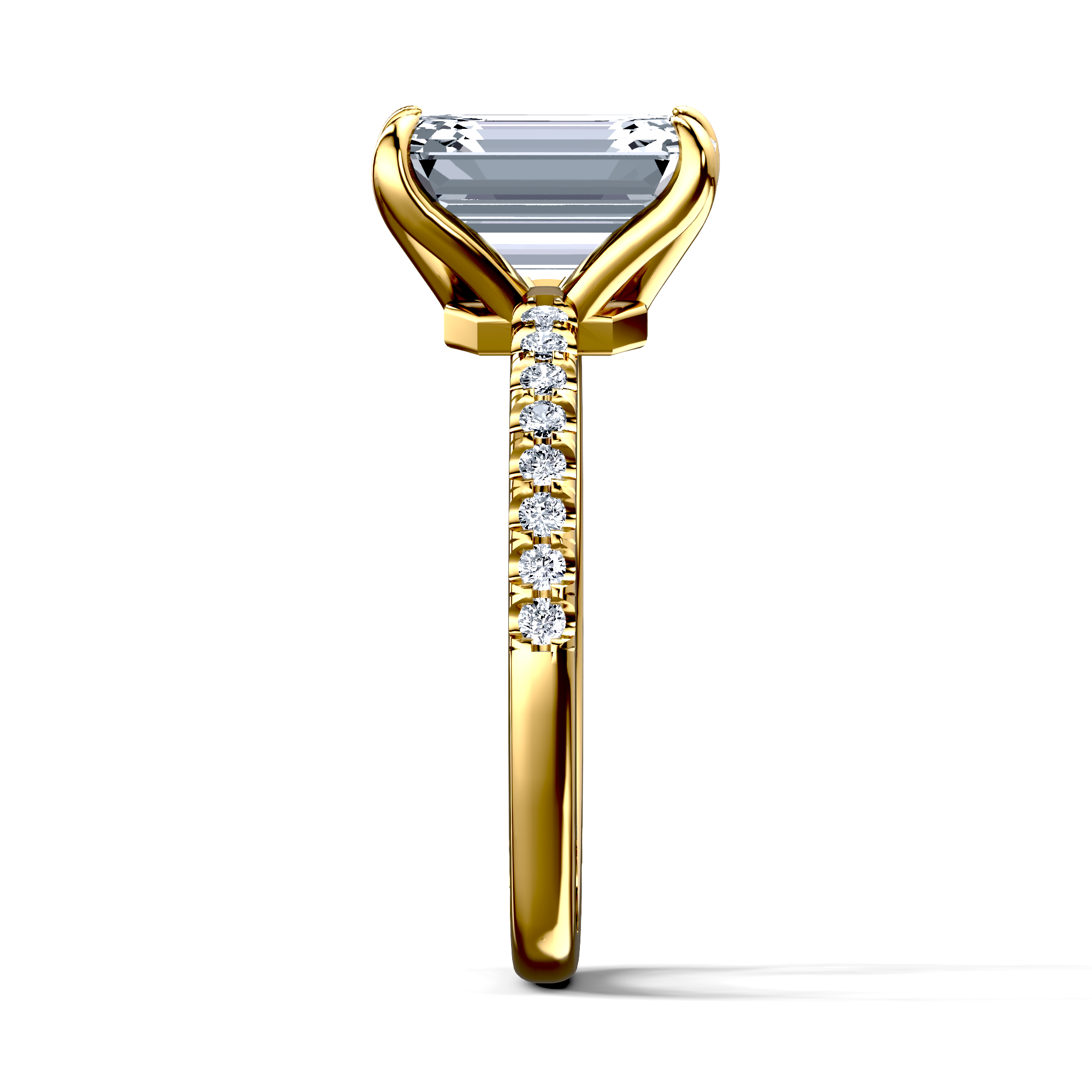 Image for The Serena