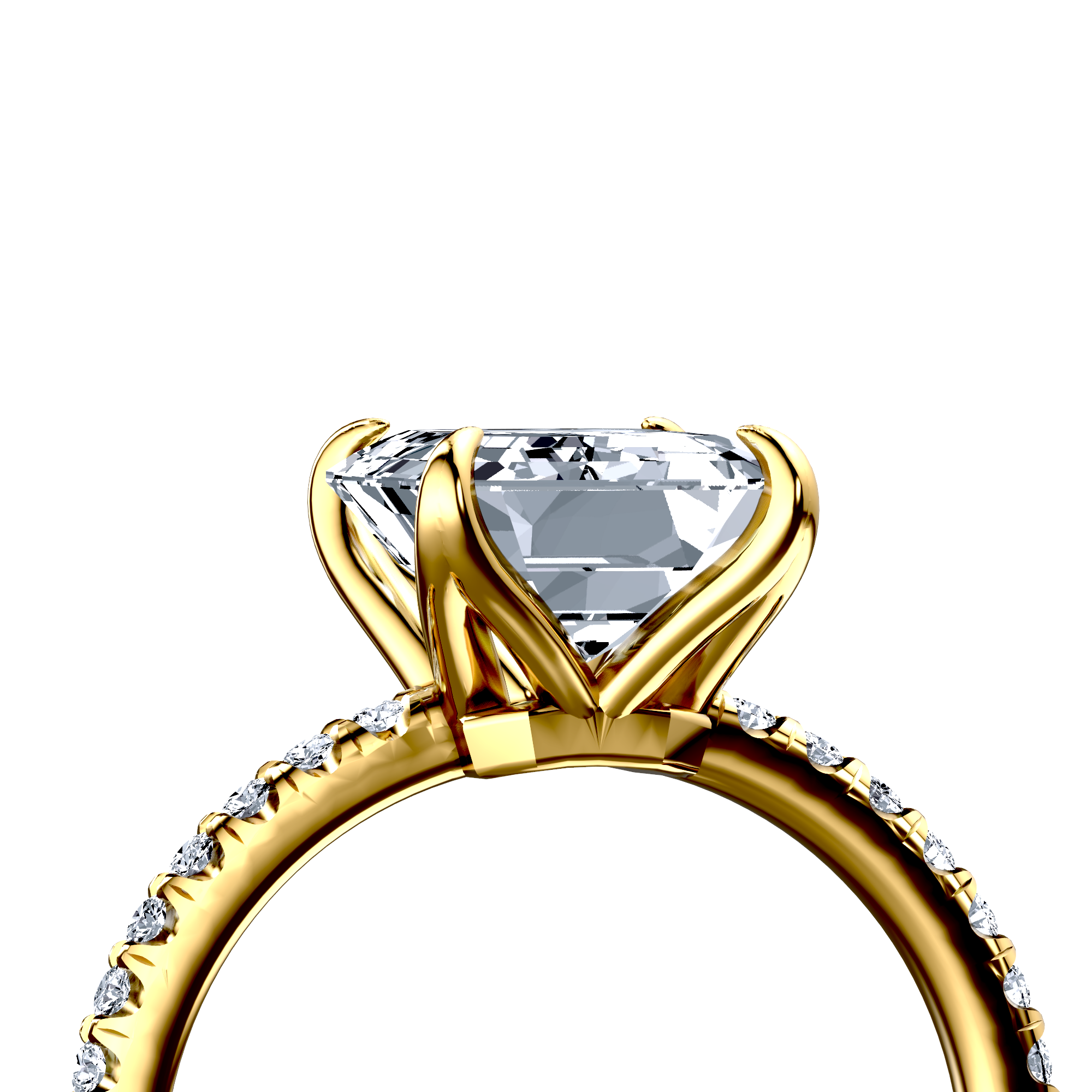 Image for The Serena