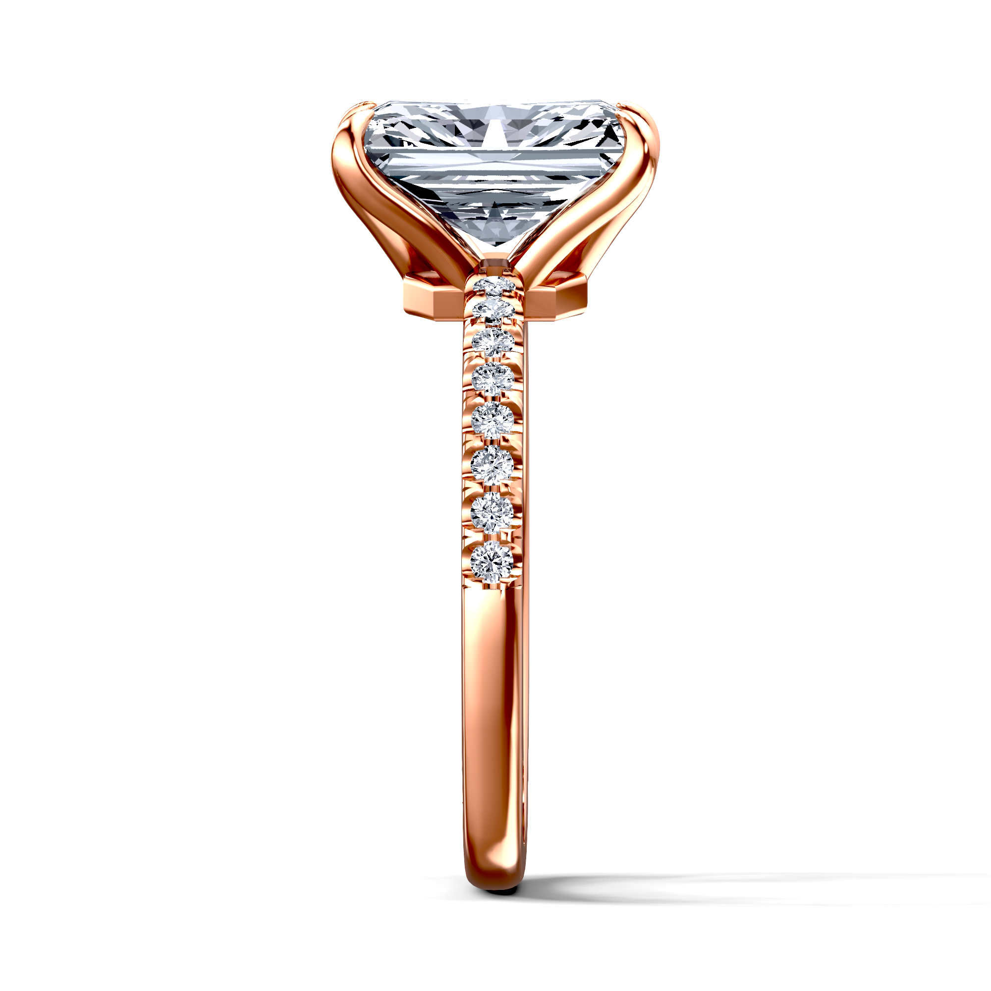 Image for The Serena