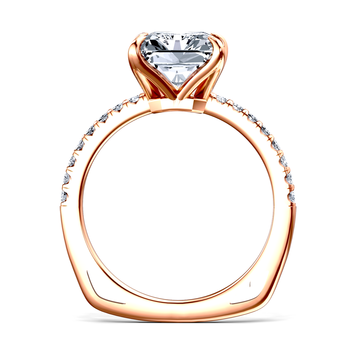 Image for The Serena