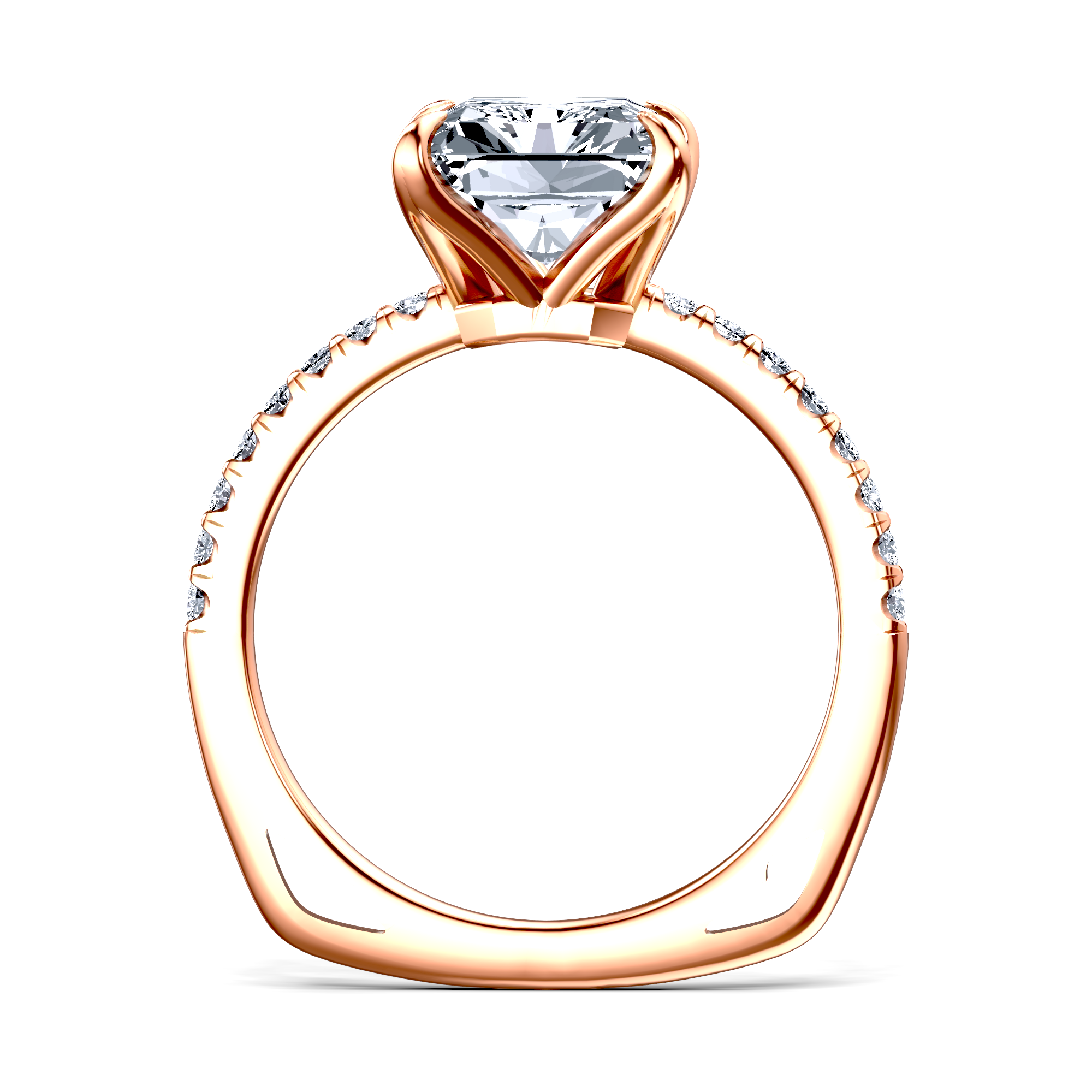 Image for The Serena
