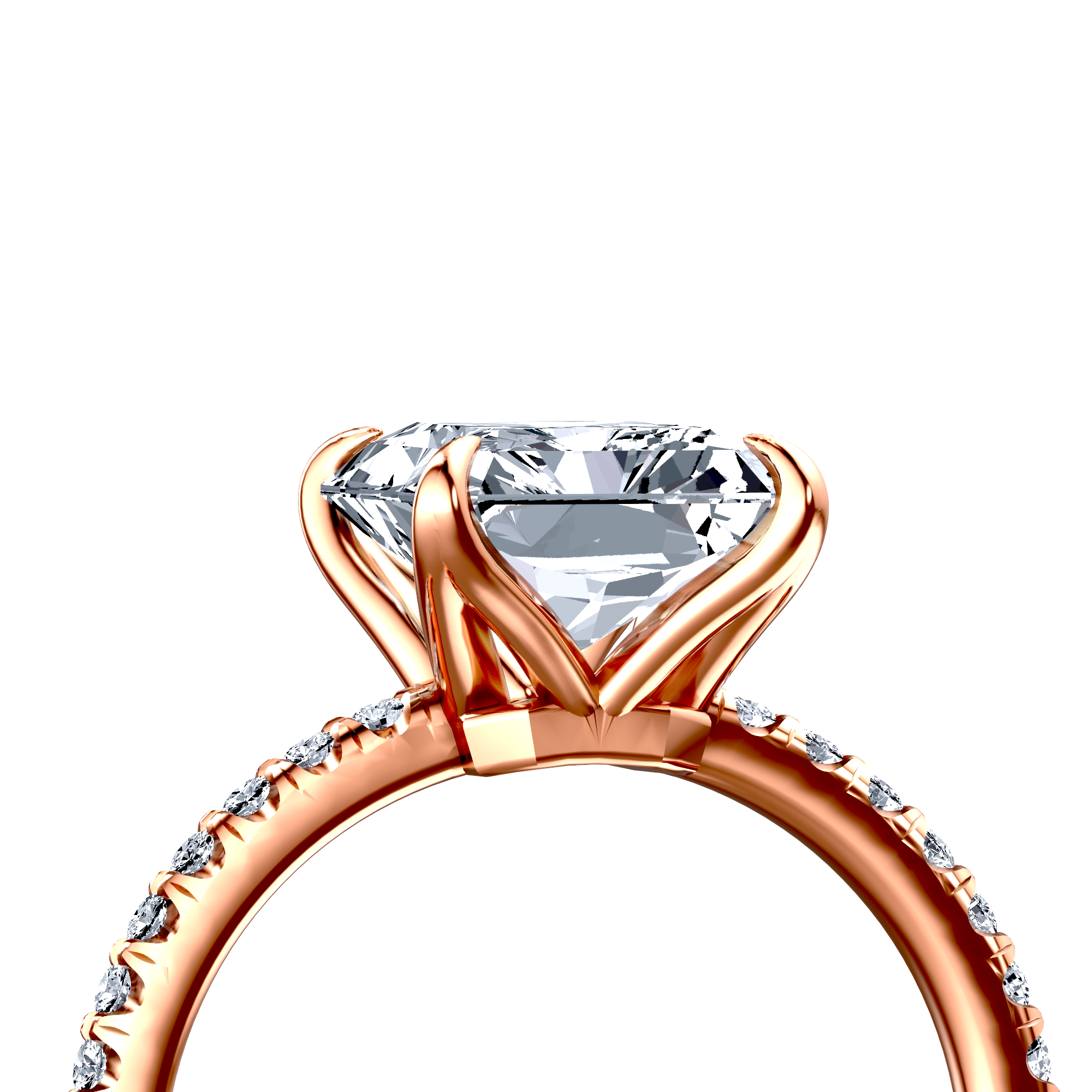Image for The Serena