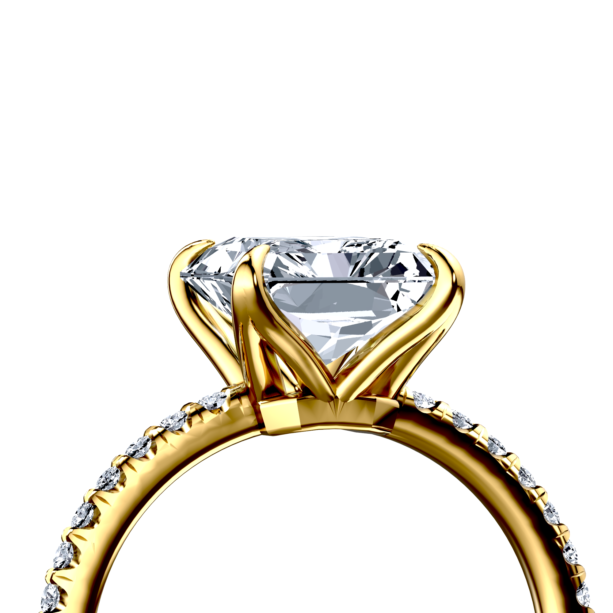 Image for The Serena