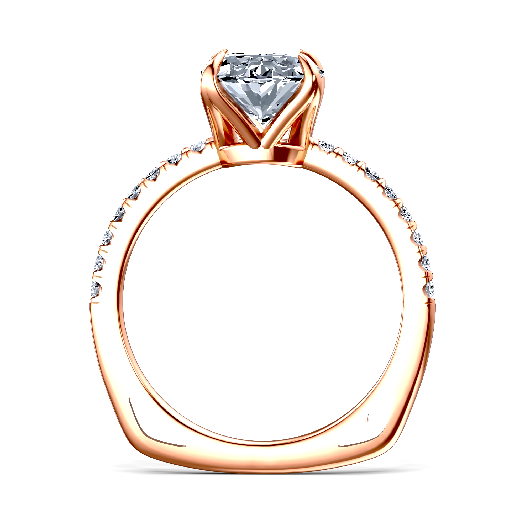 Image for The Serena