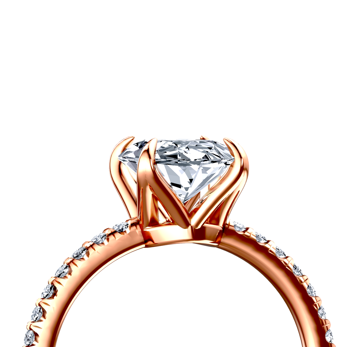 Image for The Serena
