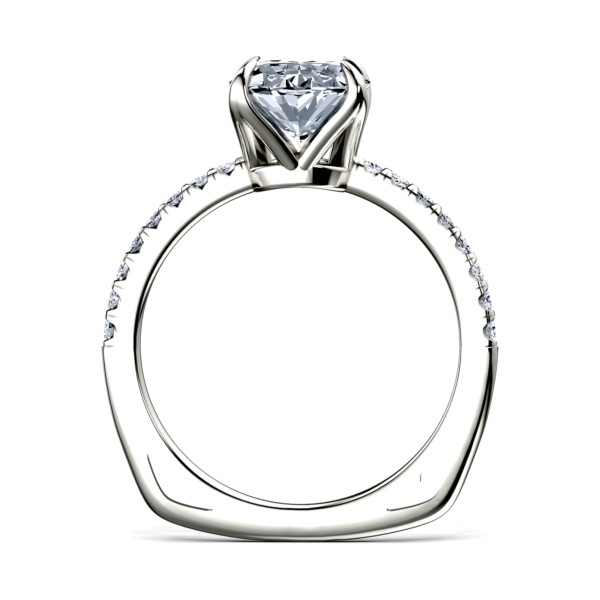 Image for The Serena
