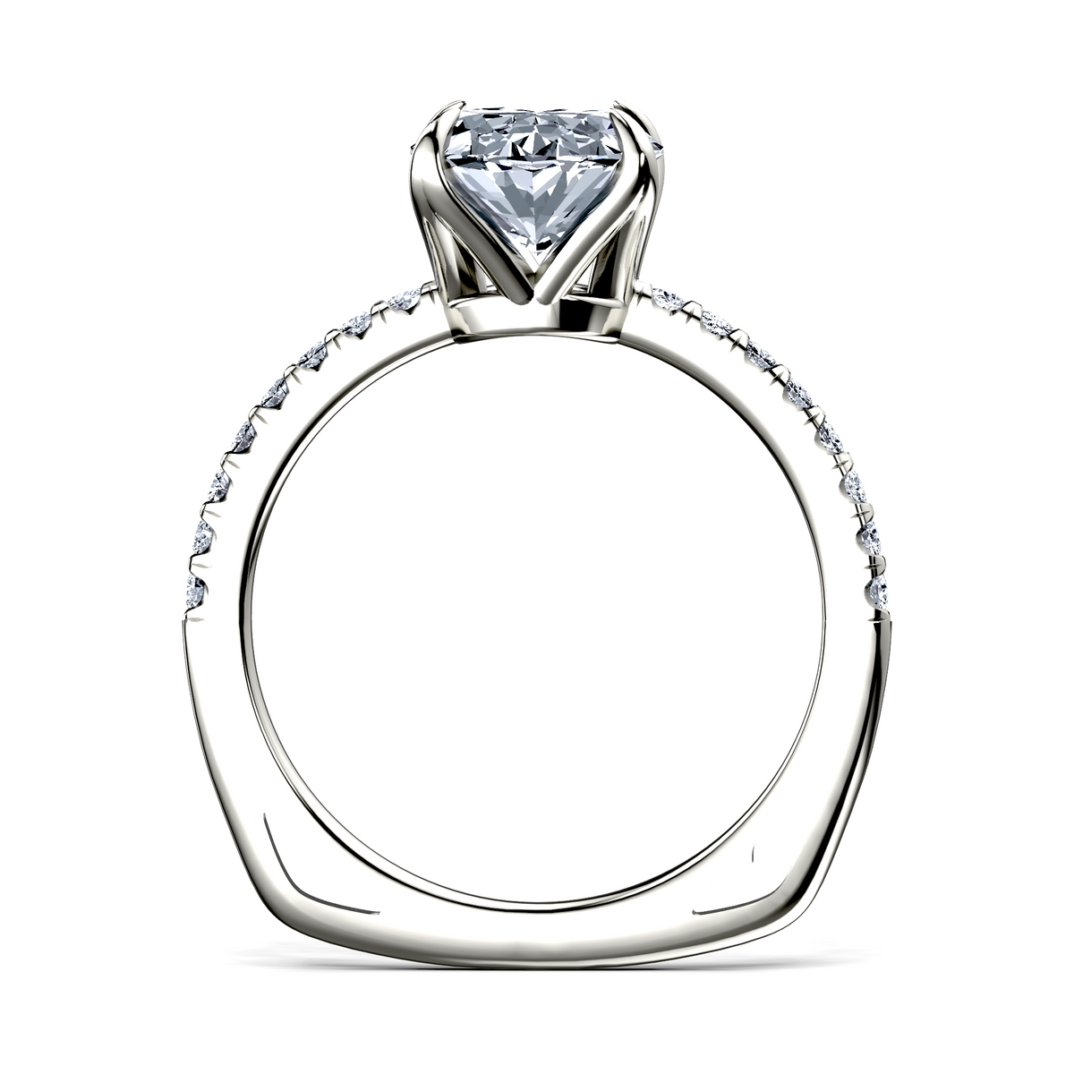 Image for The Serena