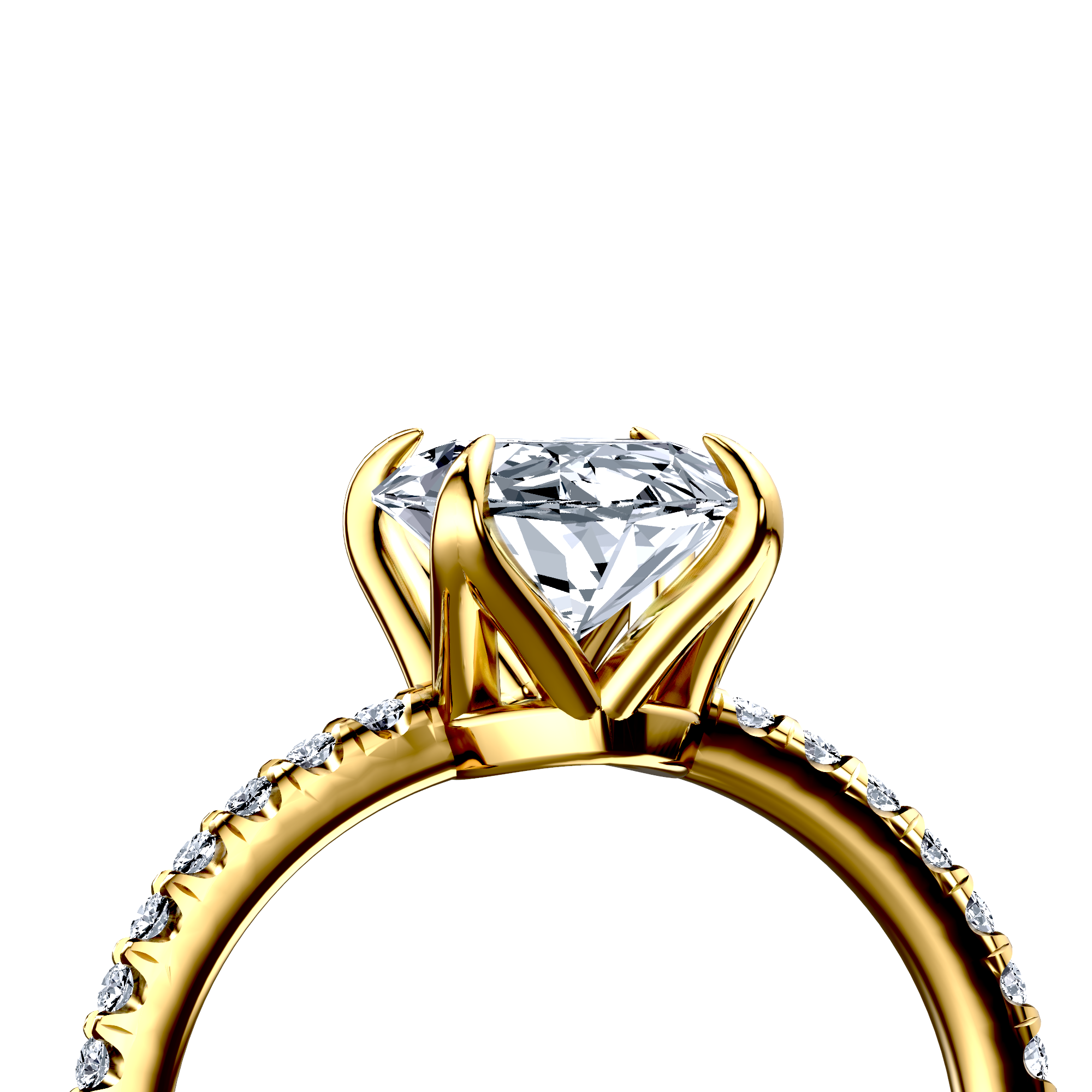 Image for The Serena