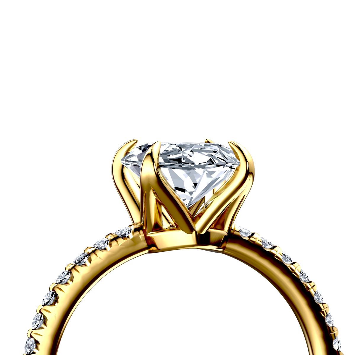 Image for The Serena
