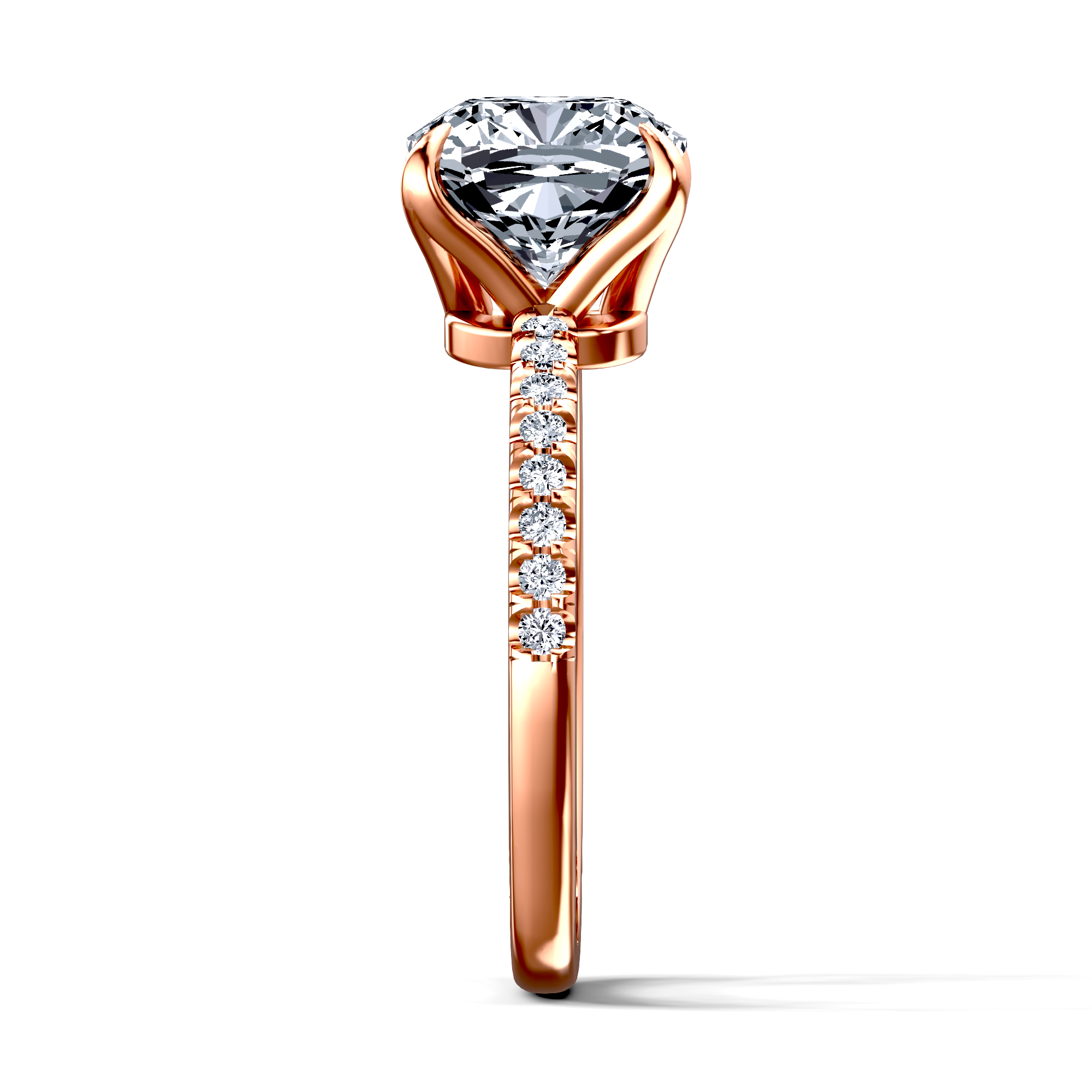 Image for The Serena