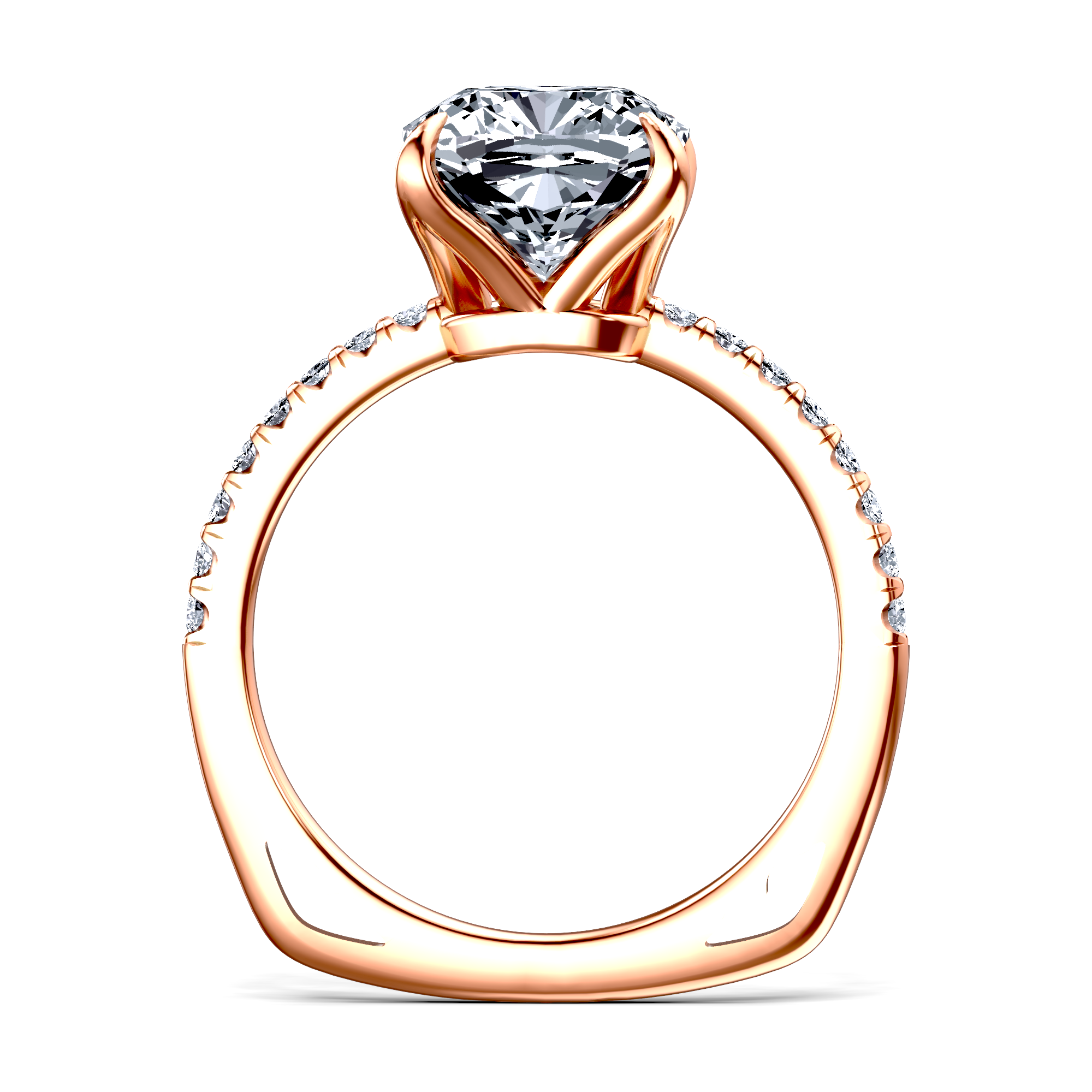 Image for The Serena