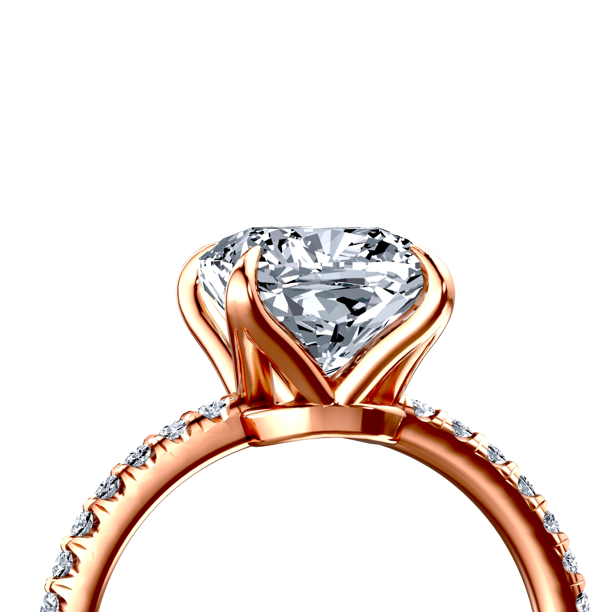 Image for The Serena