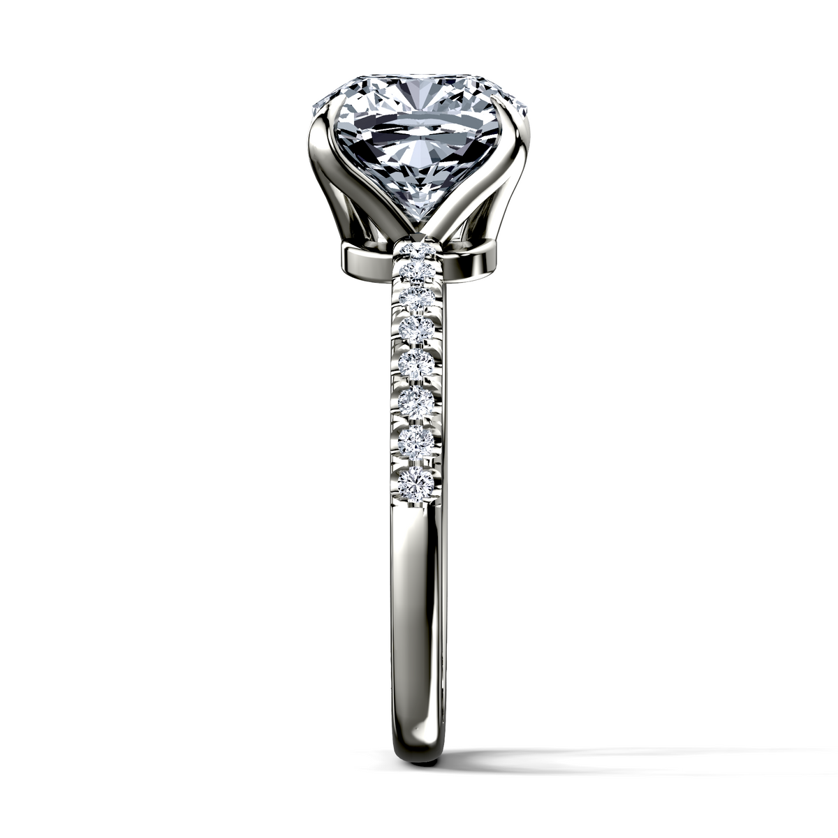 Image for The Serena