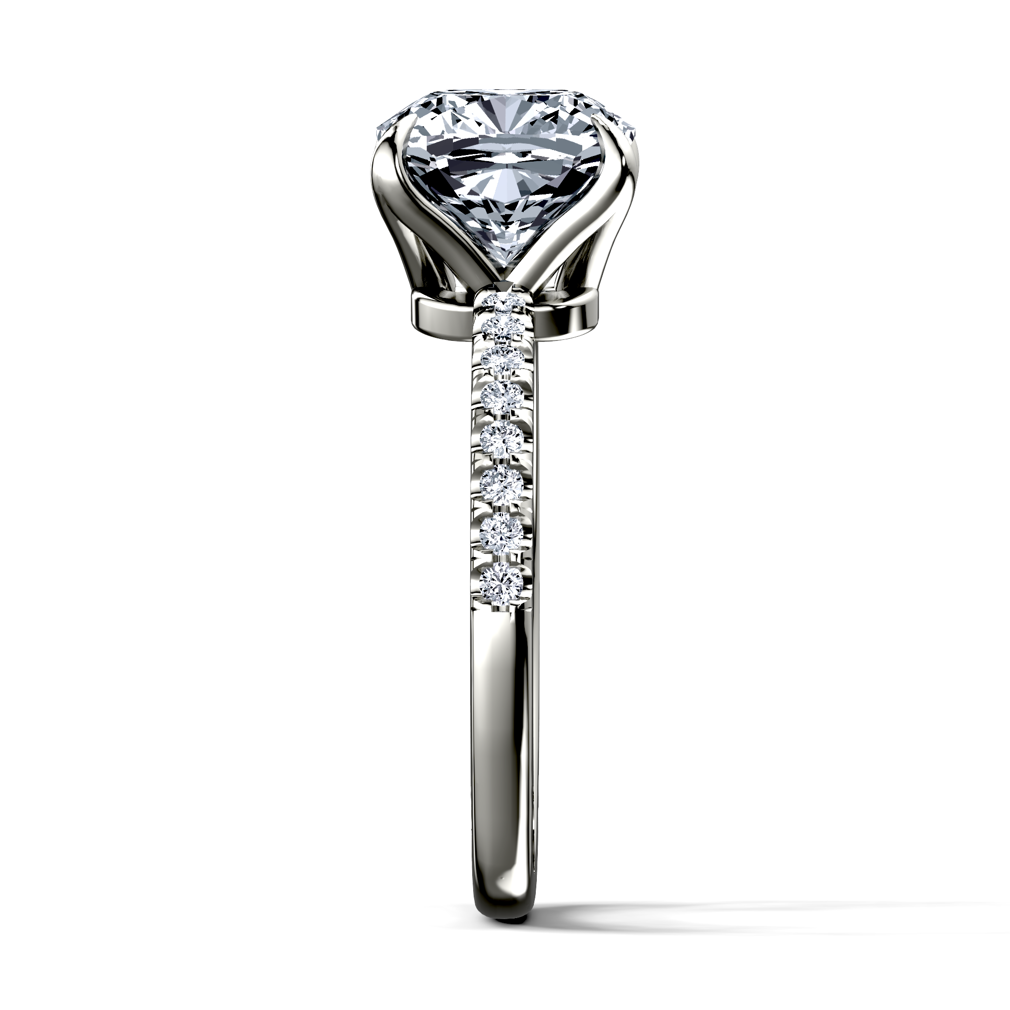 Image for The Serena