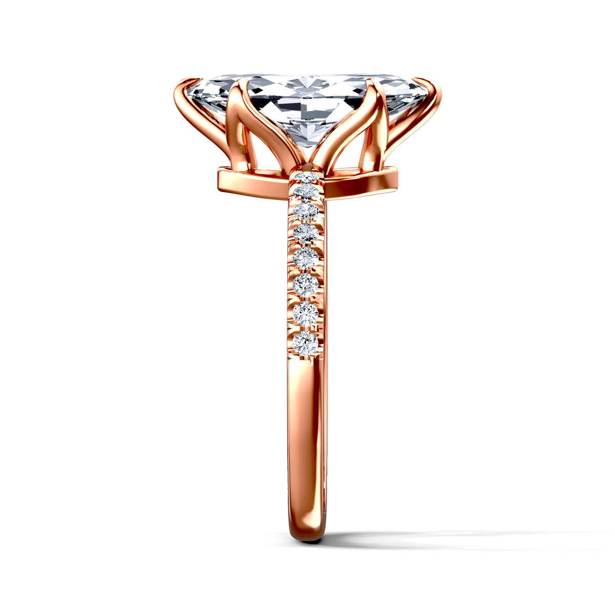 Image for The Serena