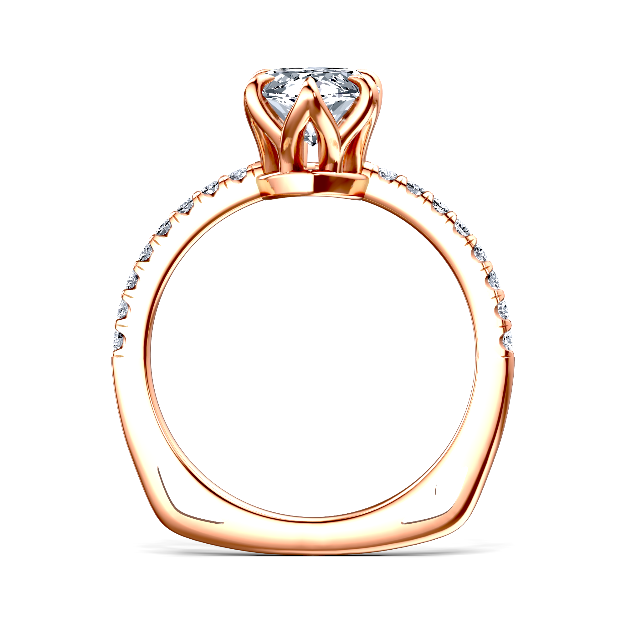 Image for The Serena