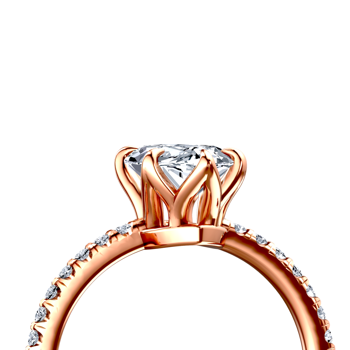 Image for The Serena