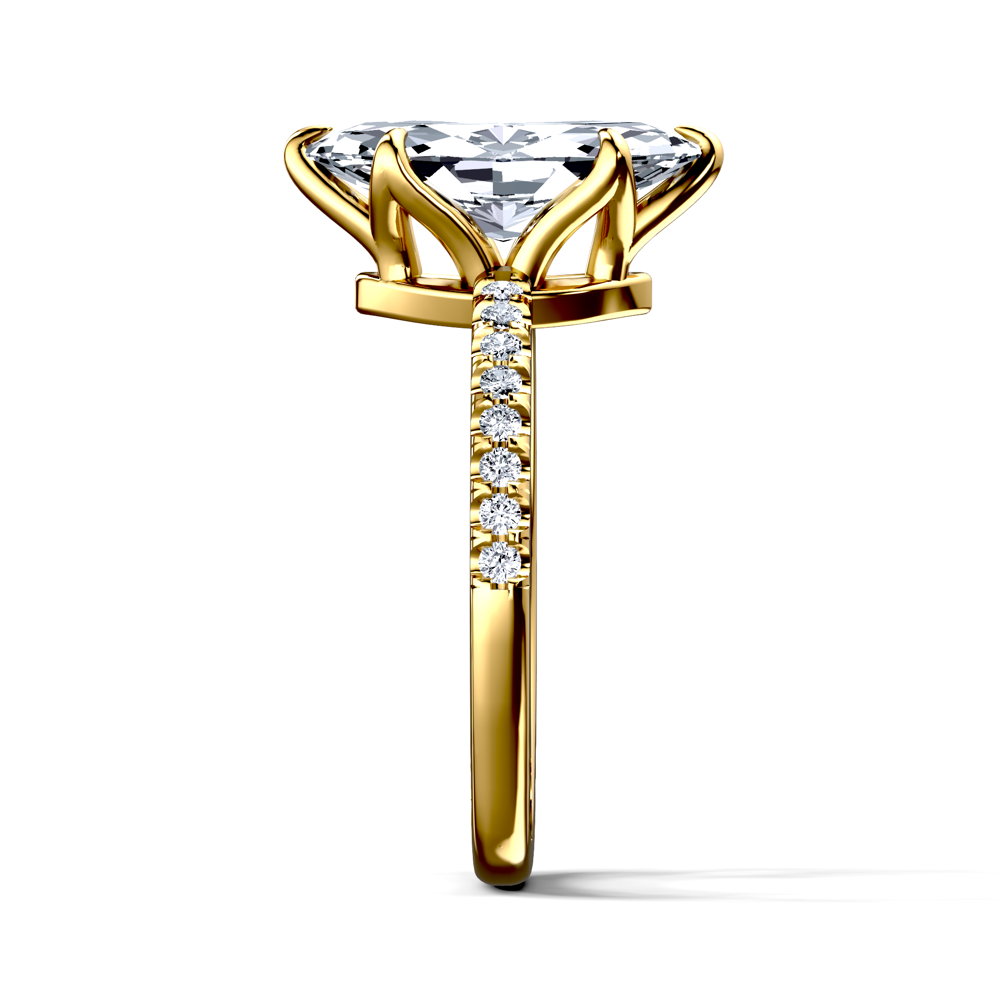 Image for The Serena