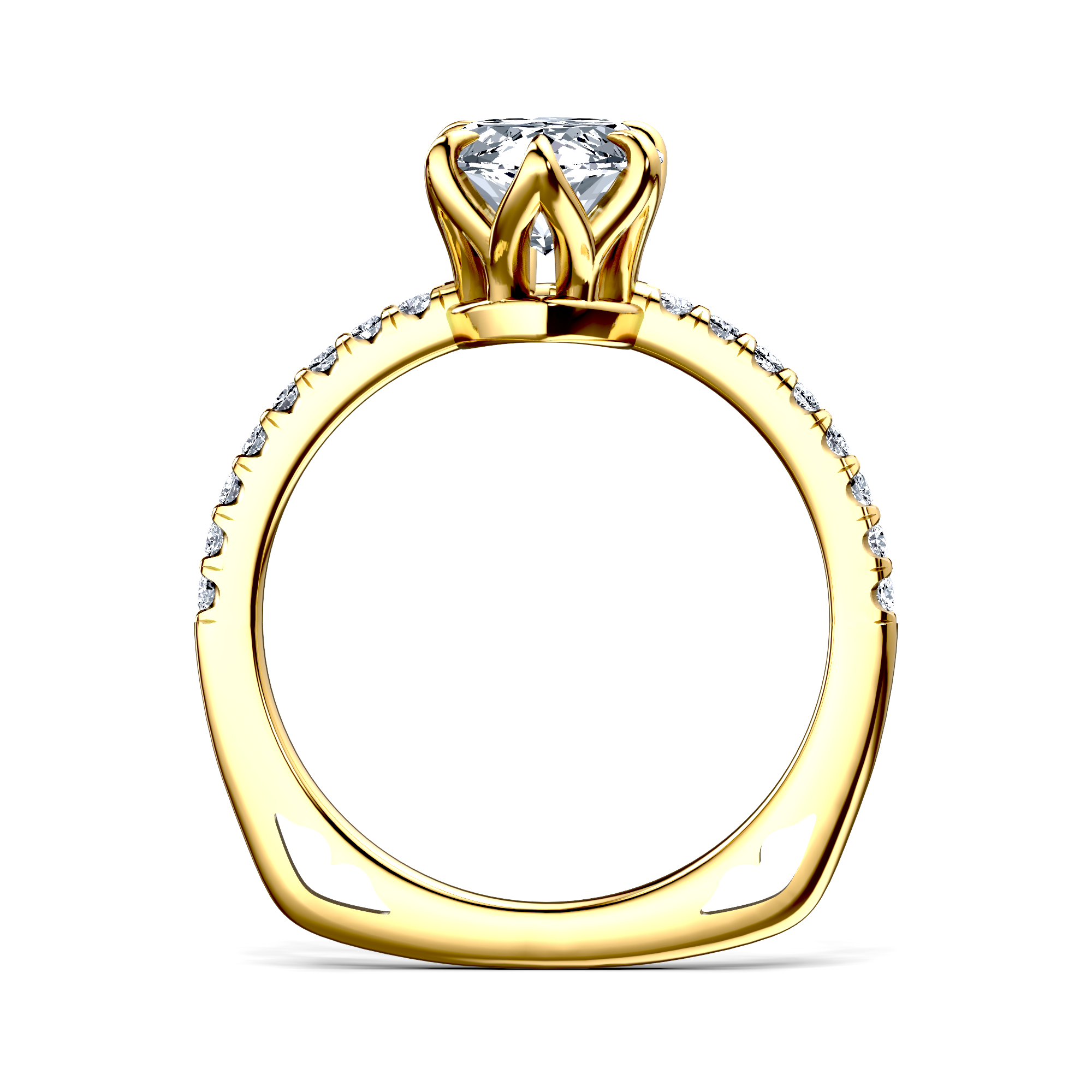 Image for The Serena