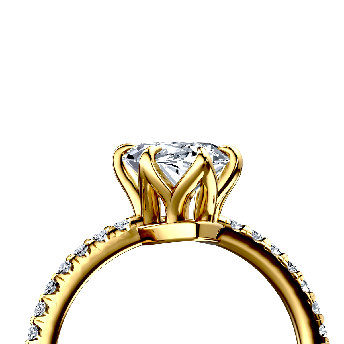 Image for The Serena