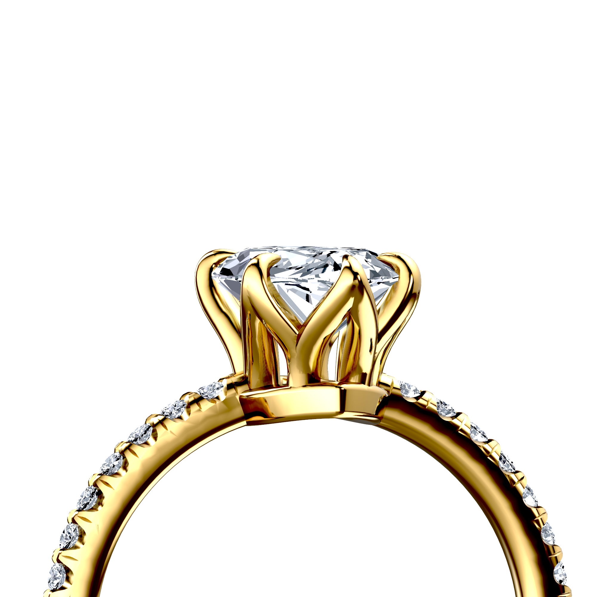 Image for The Serena
