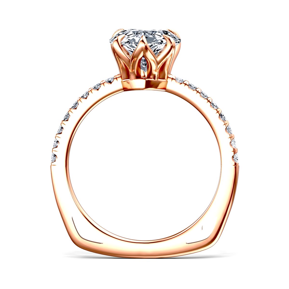 Image for The Serena
