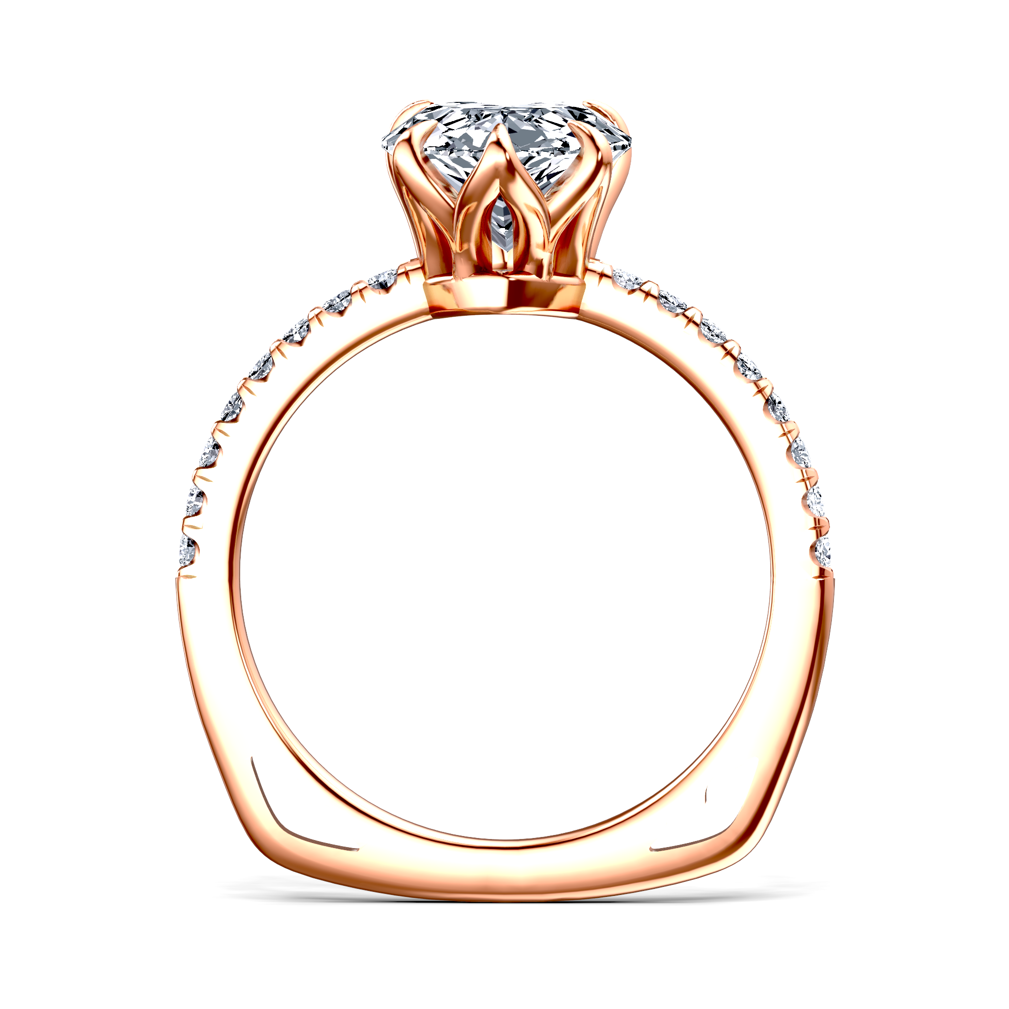 Image for The Serena