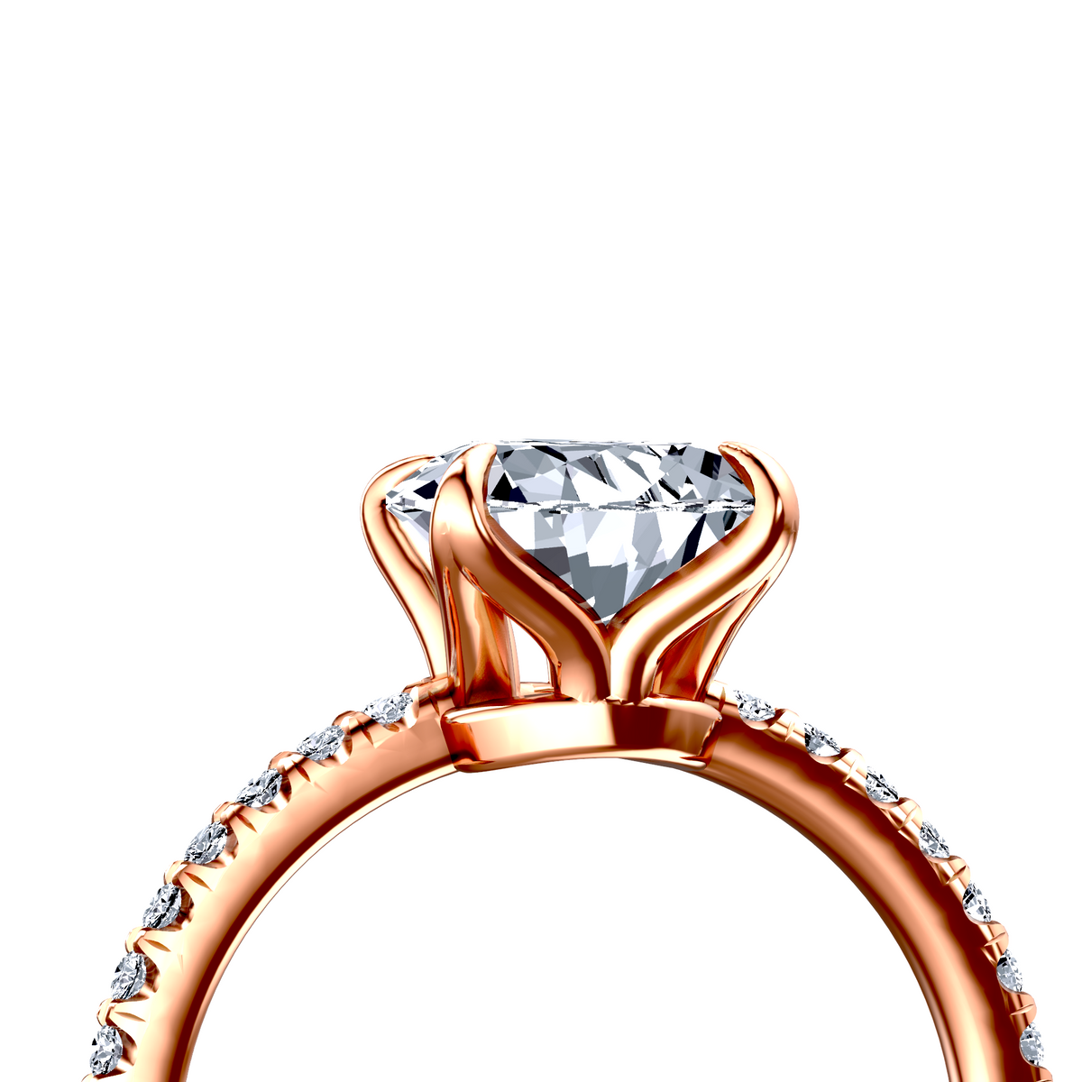 Image for The Serena