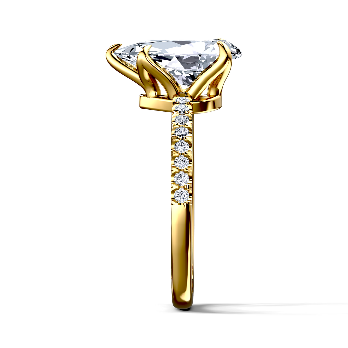 Image for The Serena