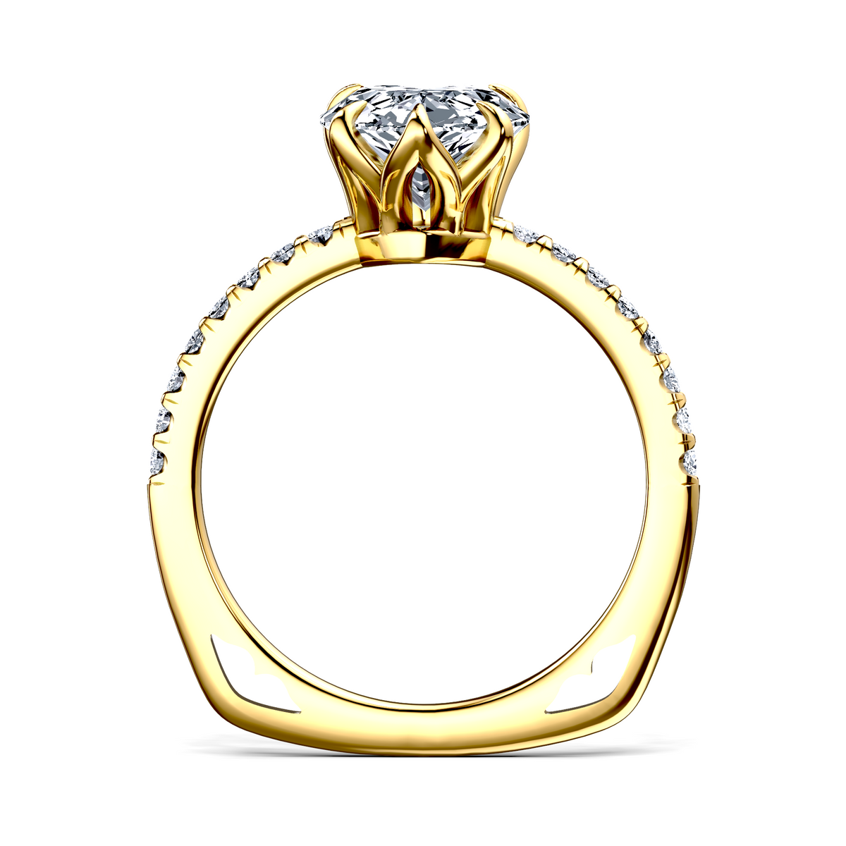 Image for The Serena
