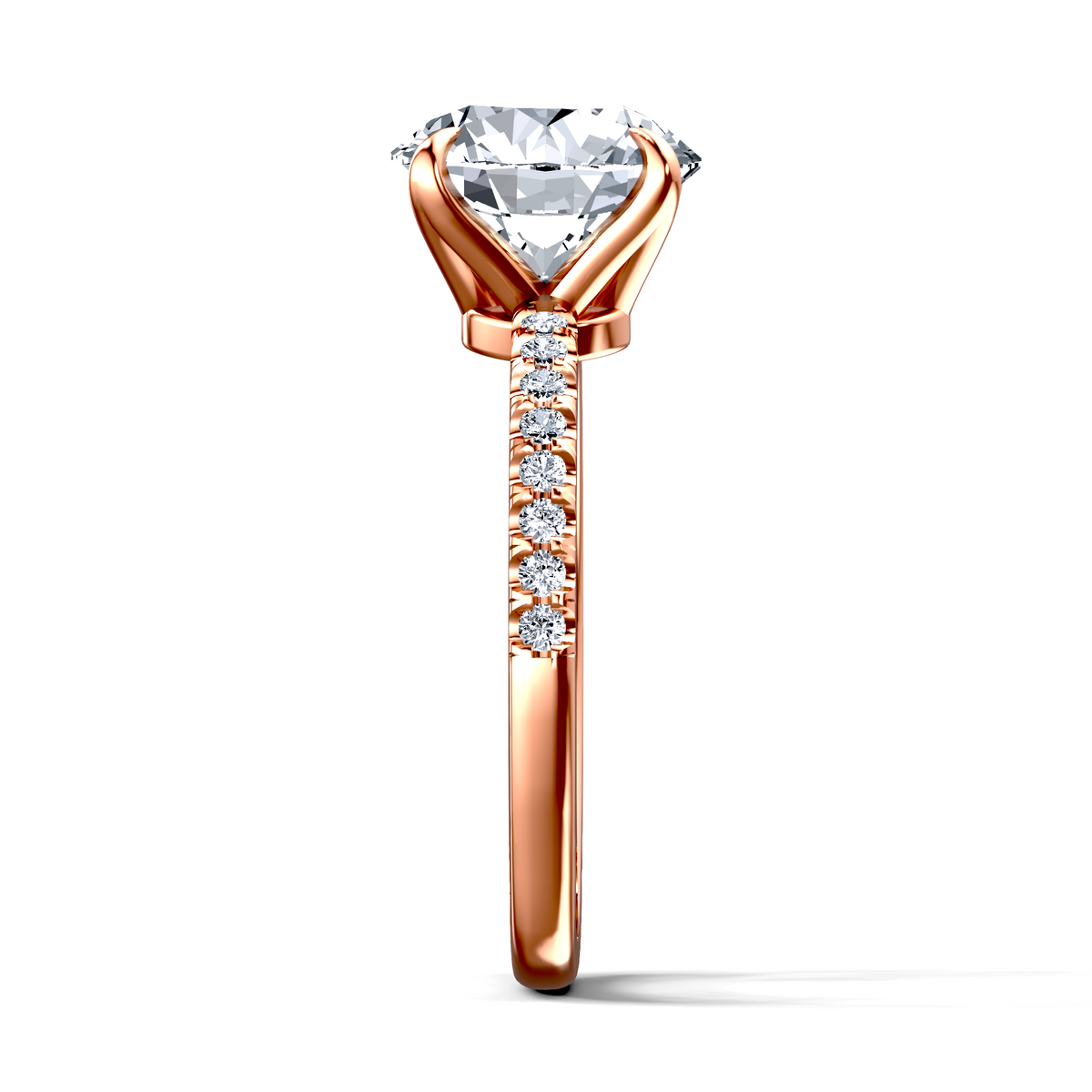 Image for The Serena